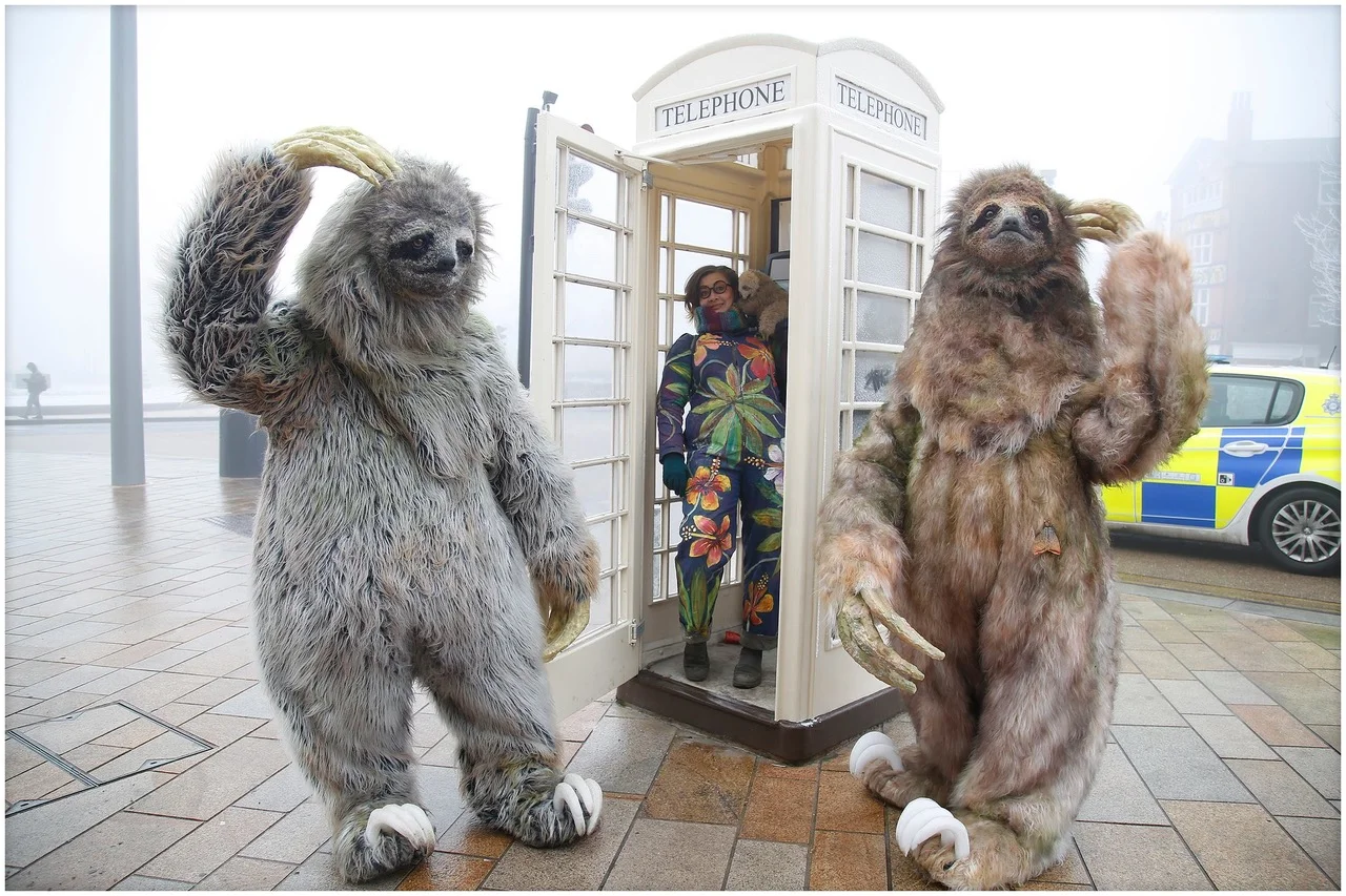 Giddy Kipper present Sloth Time, Cirque Bijou, Circus Playground.jpeg