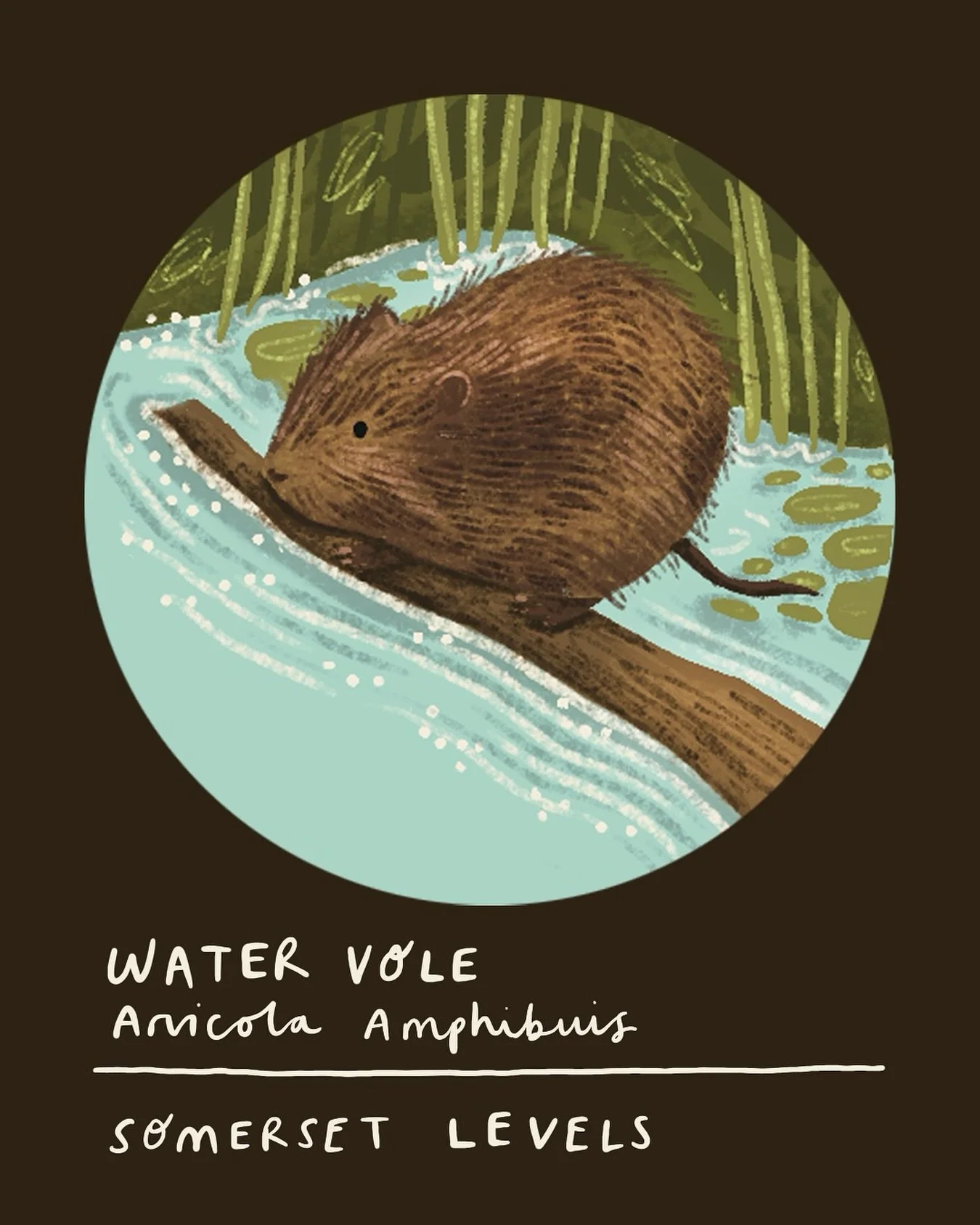 Sneaky peak from a project that I&rsquo;ve been working on this year. It&rsquo;s been a busy few months juggling lots of project and I wait to share more soon 👀