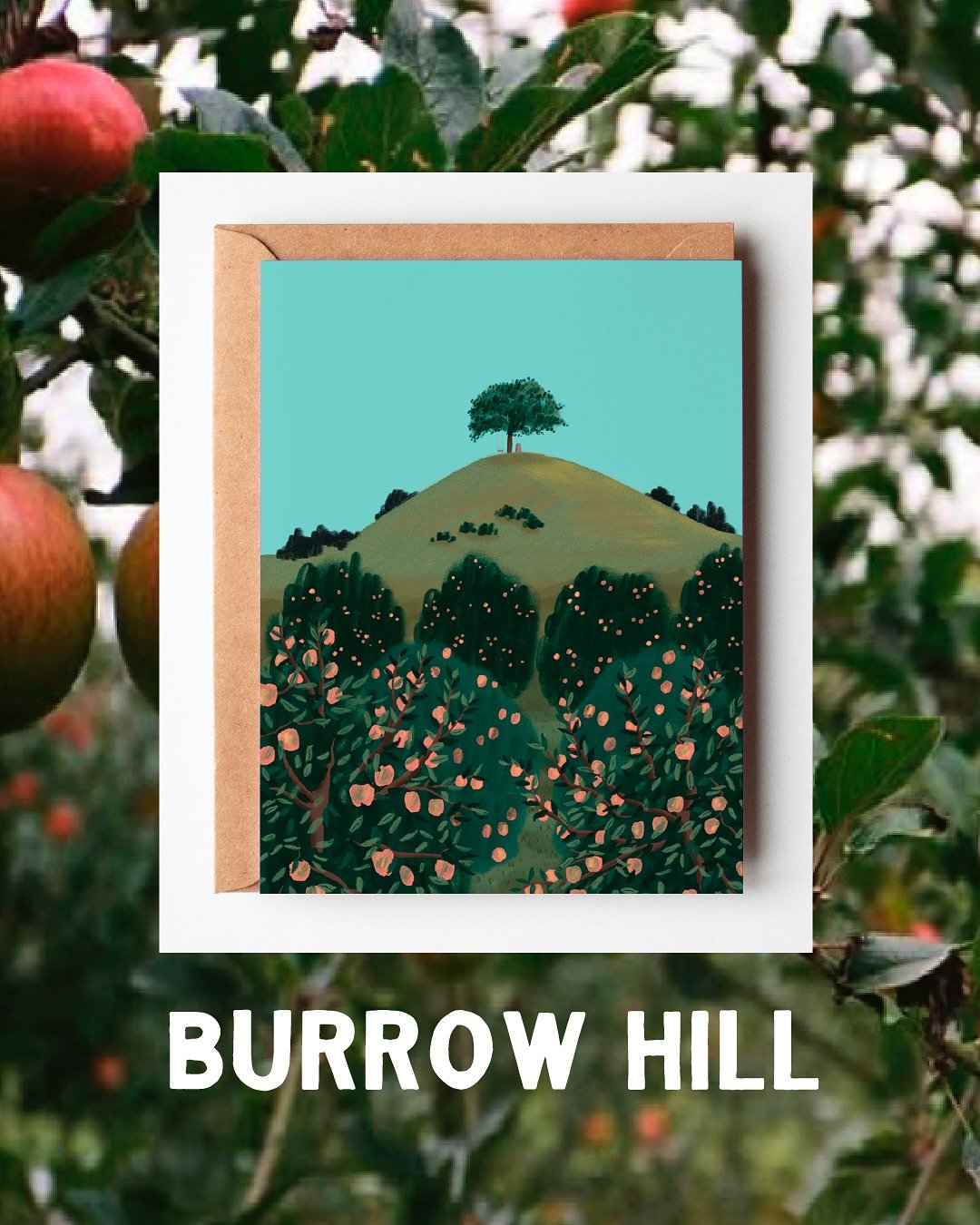 👀 Could you be a new stockists? 👀 
I’ve just updated my wholesale catalogue and have loved sifting through my photos to find the outings that inspired the designs.
If there are any stockists in Dorset, Somerset, or Cornwall interested in a