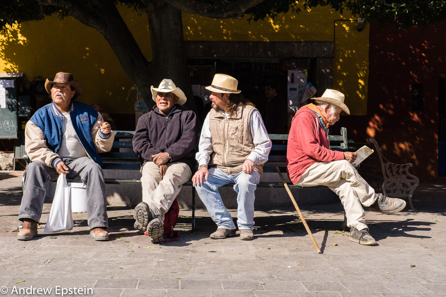 Park Bench, San Miguel de Allende.jpg