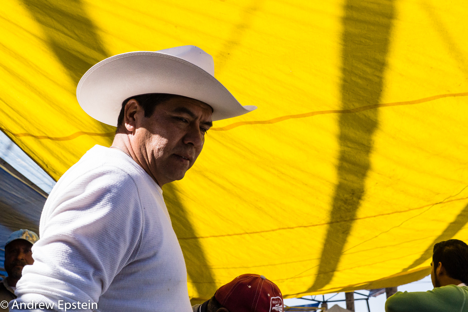 Yellow Canopy, San Miguel de Allende.jpg