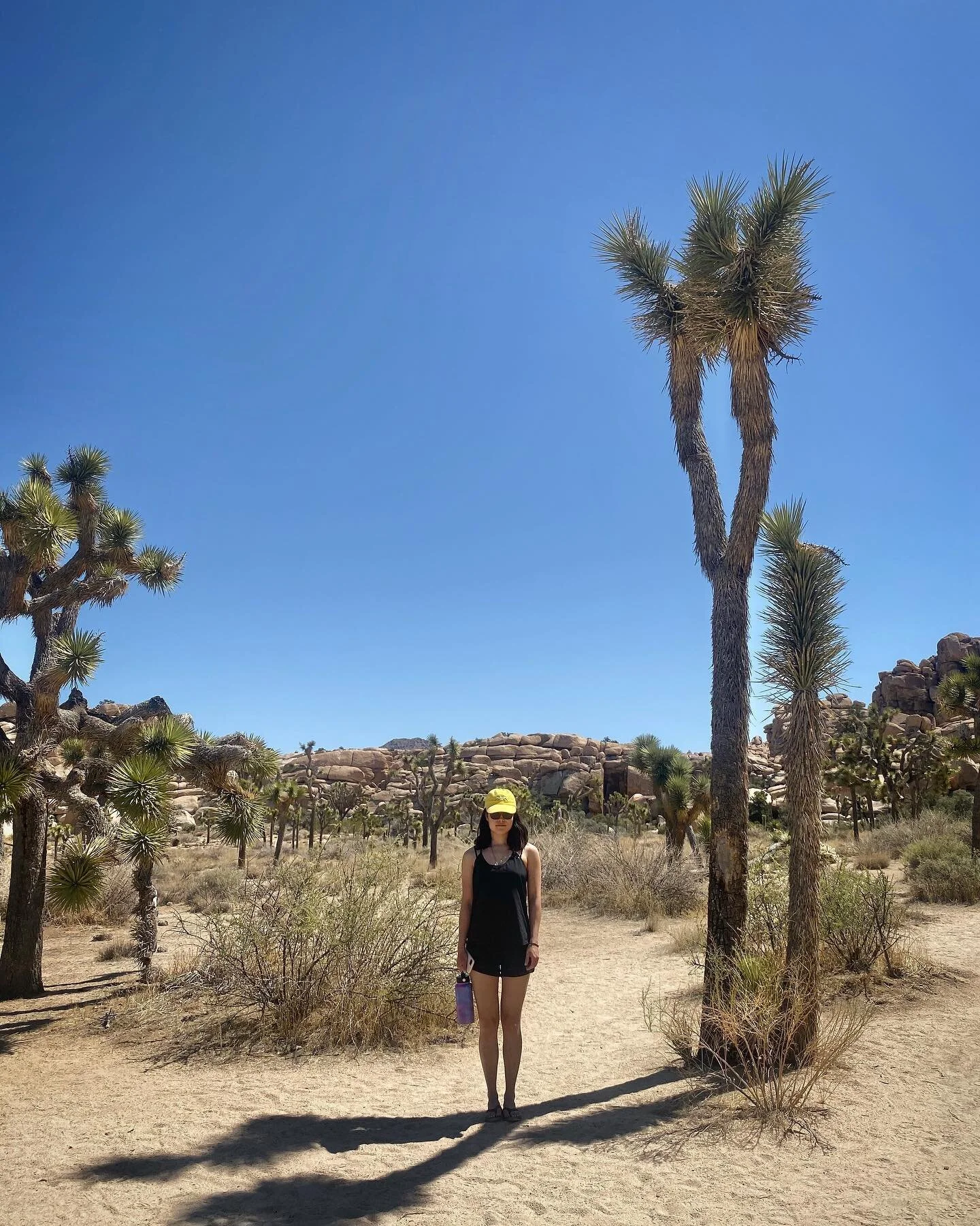 It&rsquo;s best to travel with a friend.
&bull;
&bull;
&bull;

#joshuatree #route66 #joshuatreenationalpark #vintage #roadtripusa #nationalparks