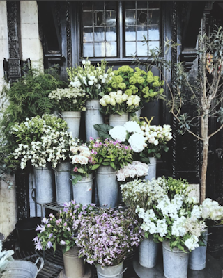 A little floral boutique on the street. 