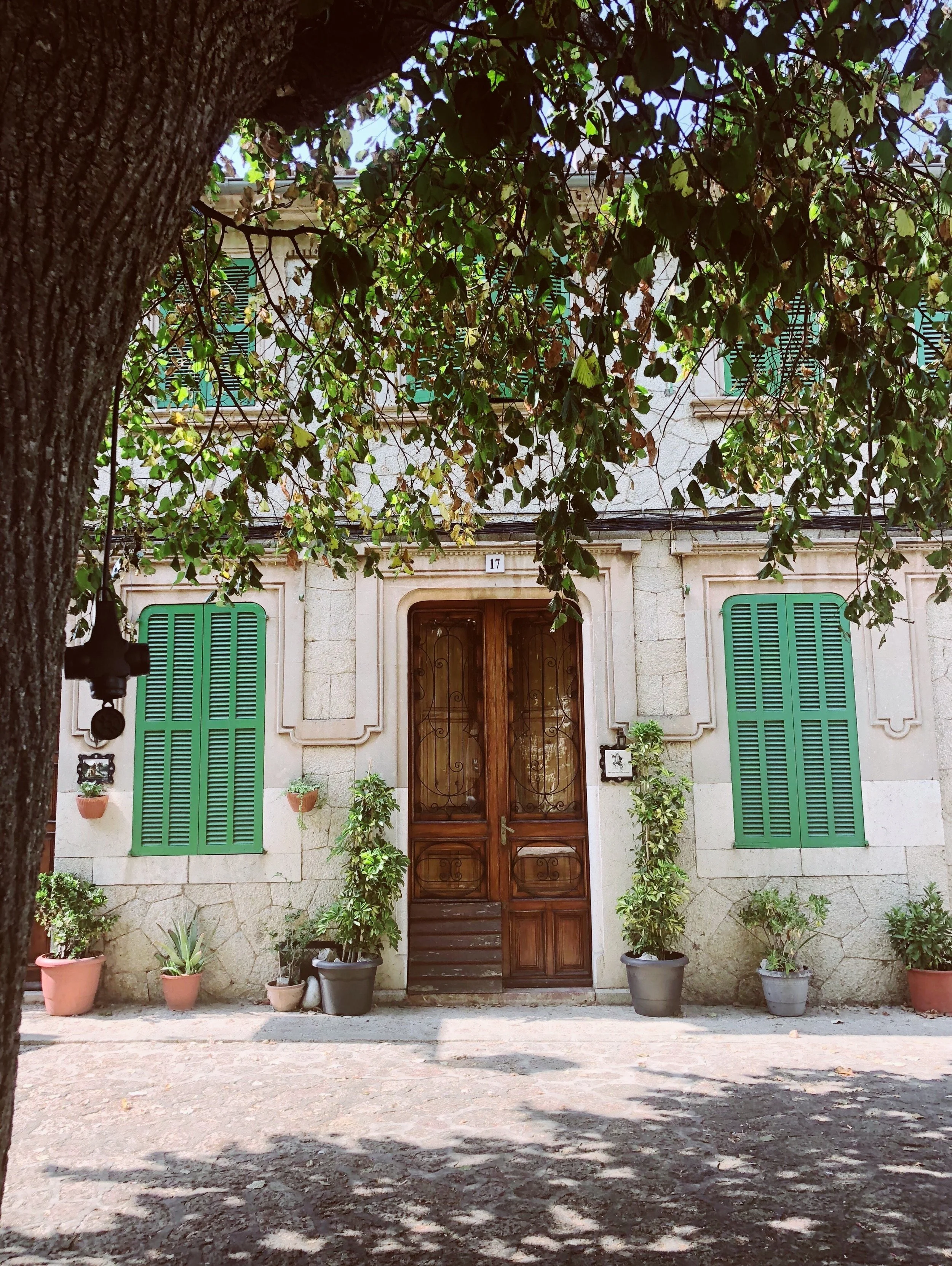 Because...who doesn't love a good door?! (Valldemossa, Mallorca)