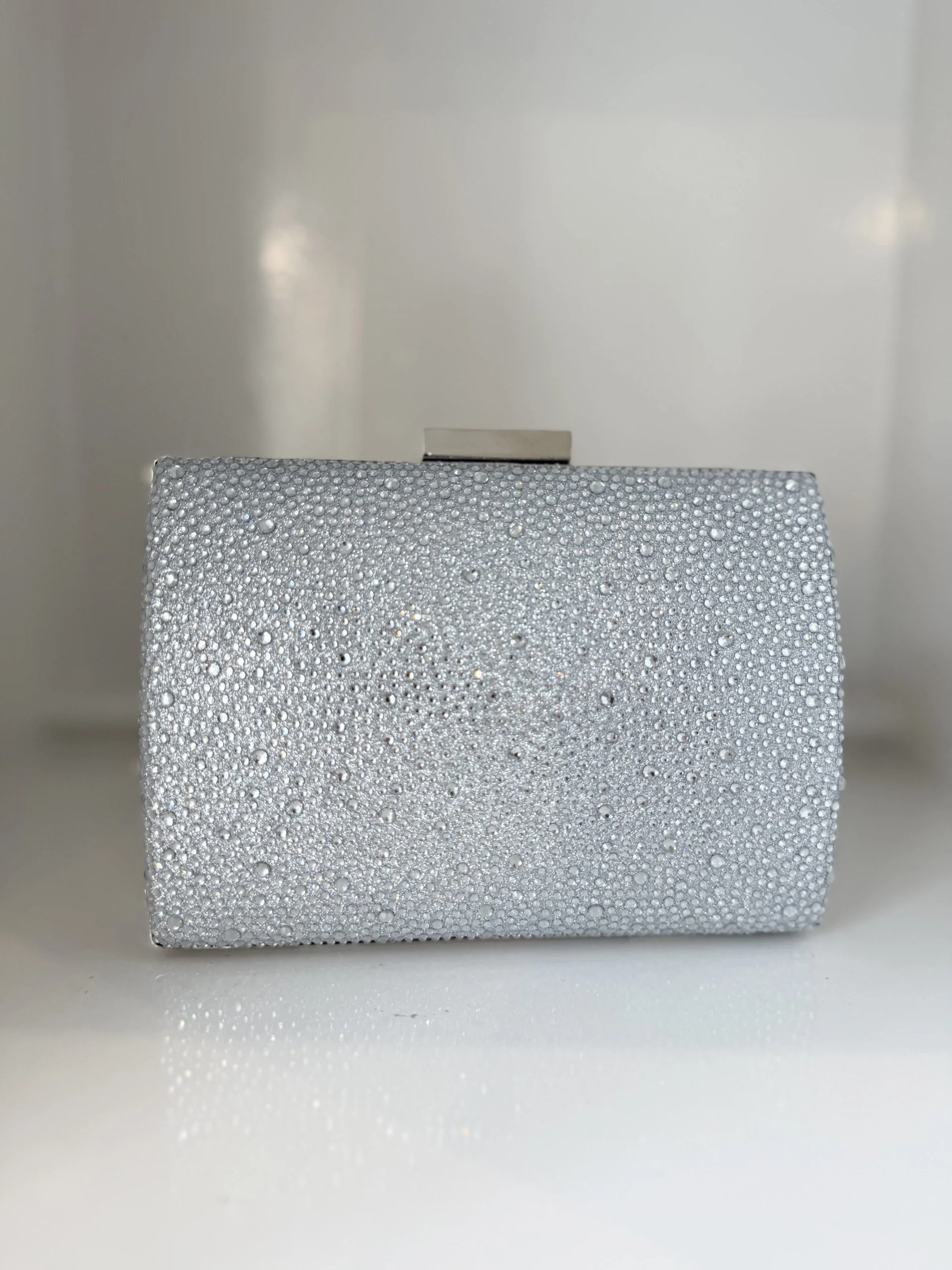 Gabby Crystal Clutch-Silver