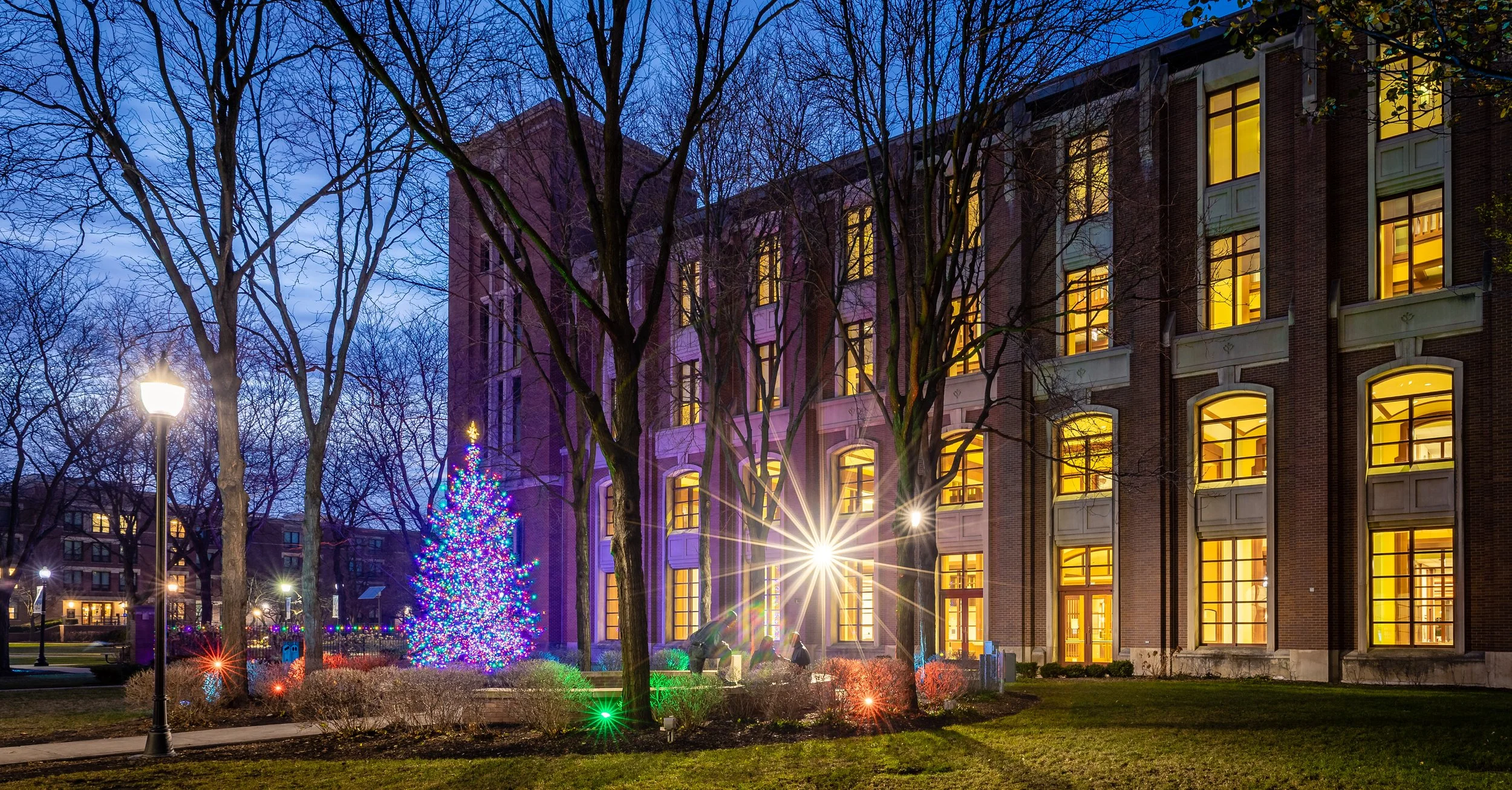 20221206_tree_jsc_081-HDR.jpg