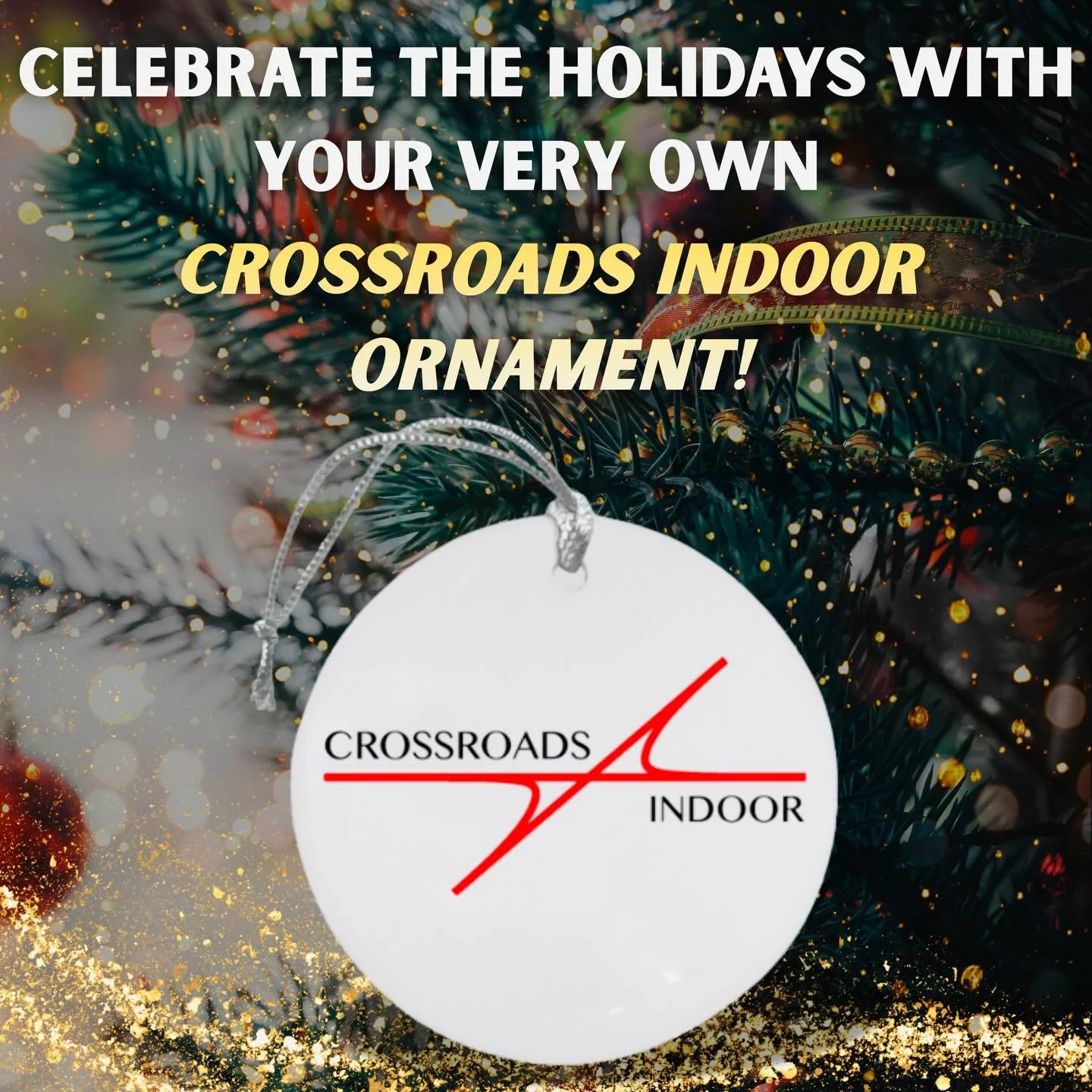 🎄🎁Our December fundraiser kicks off today, and an XRI ornament can be yours! The ornament sale ends 12/15 - thank you for the support. Link in bio! 🎁🎄