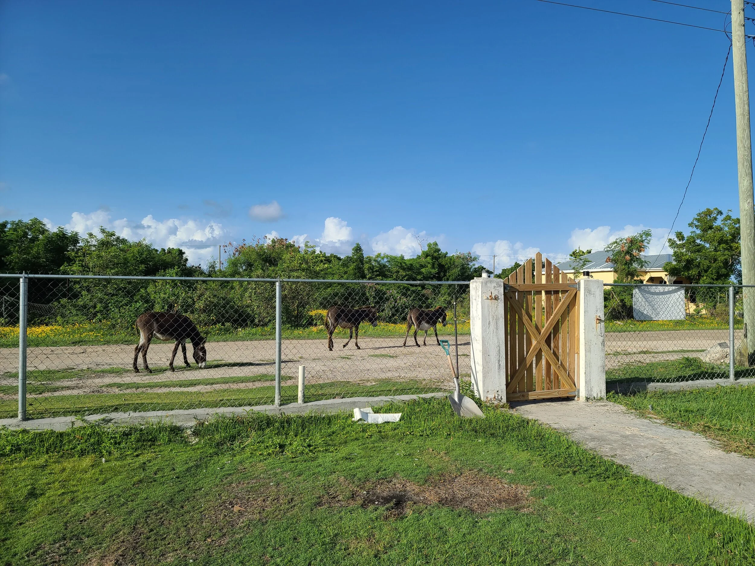 20200805_073033 (3).jpg