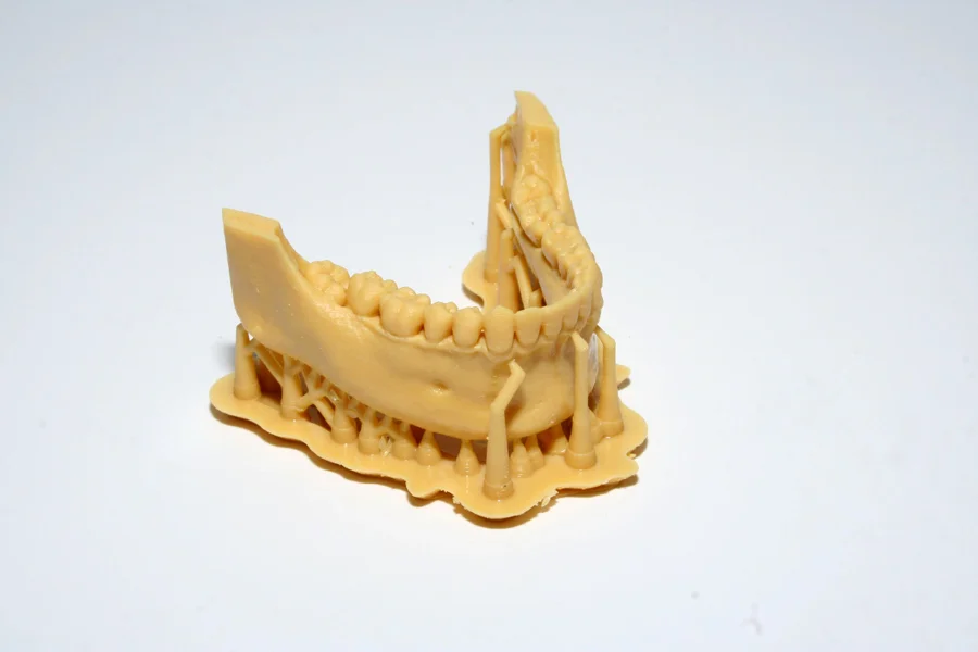Dental model Fun To Do Dentifix-3D HR Resin