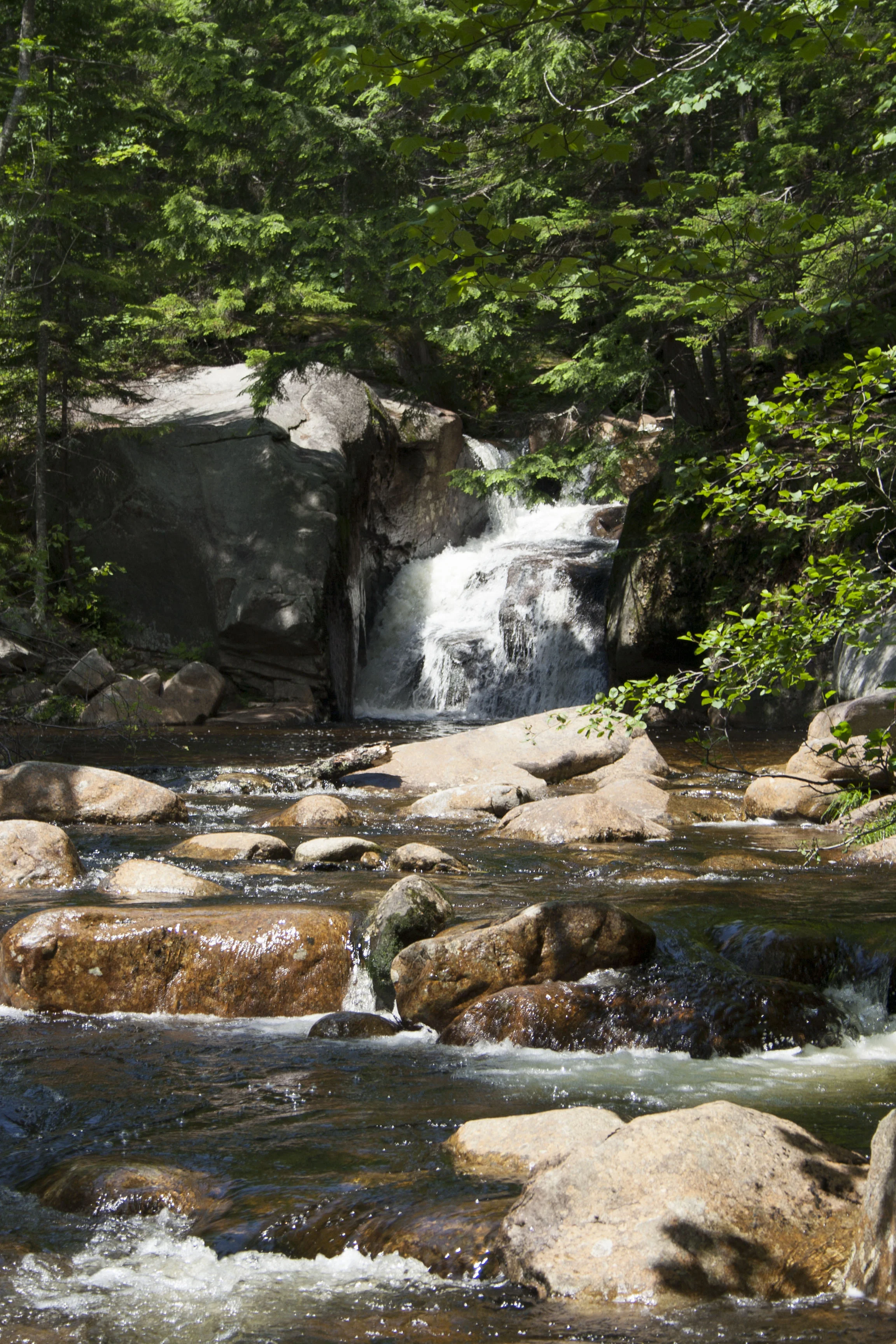Swimming hole at the beginning/end of the hike to Angel Falls