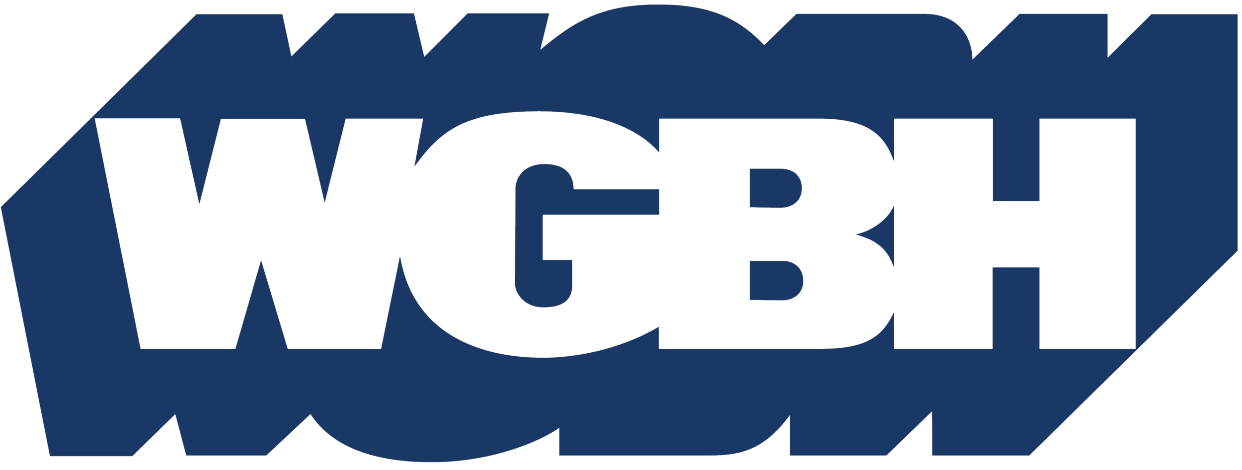 WGBH_logo_logotype.png