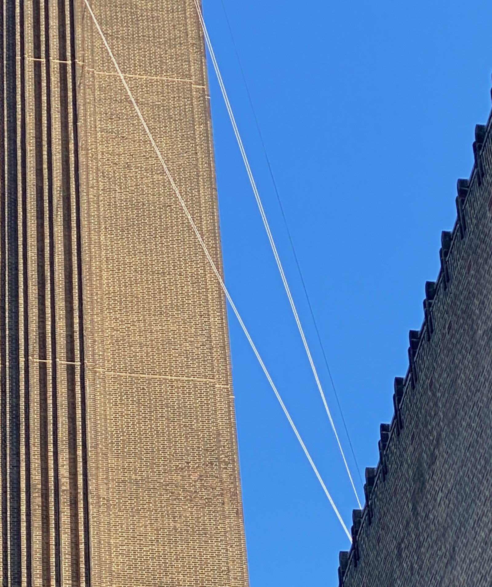 IMG_3330.jpeg