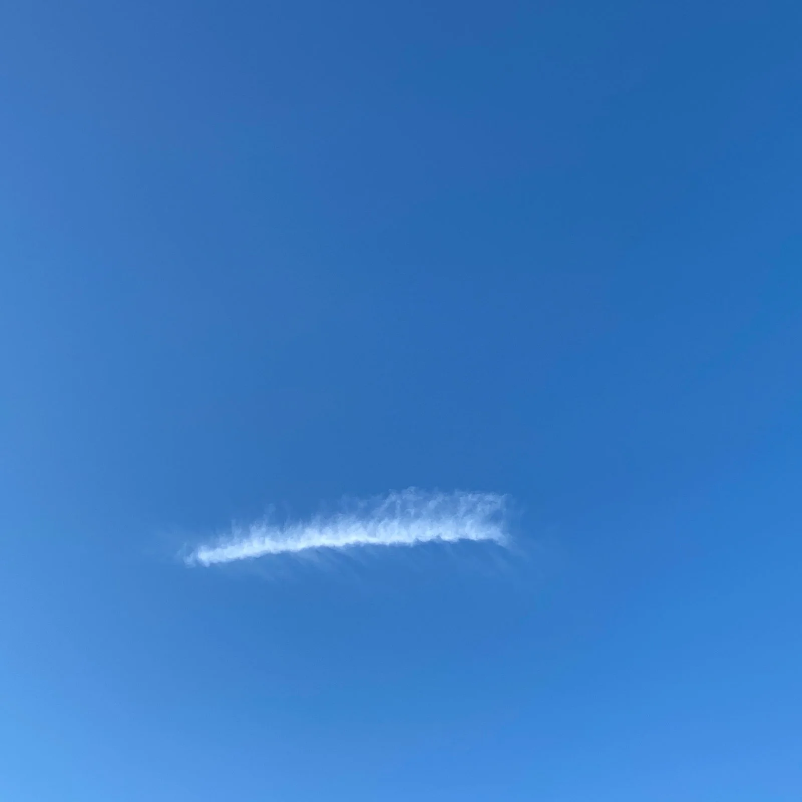 IMG_3806.jpeg