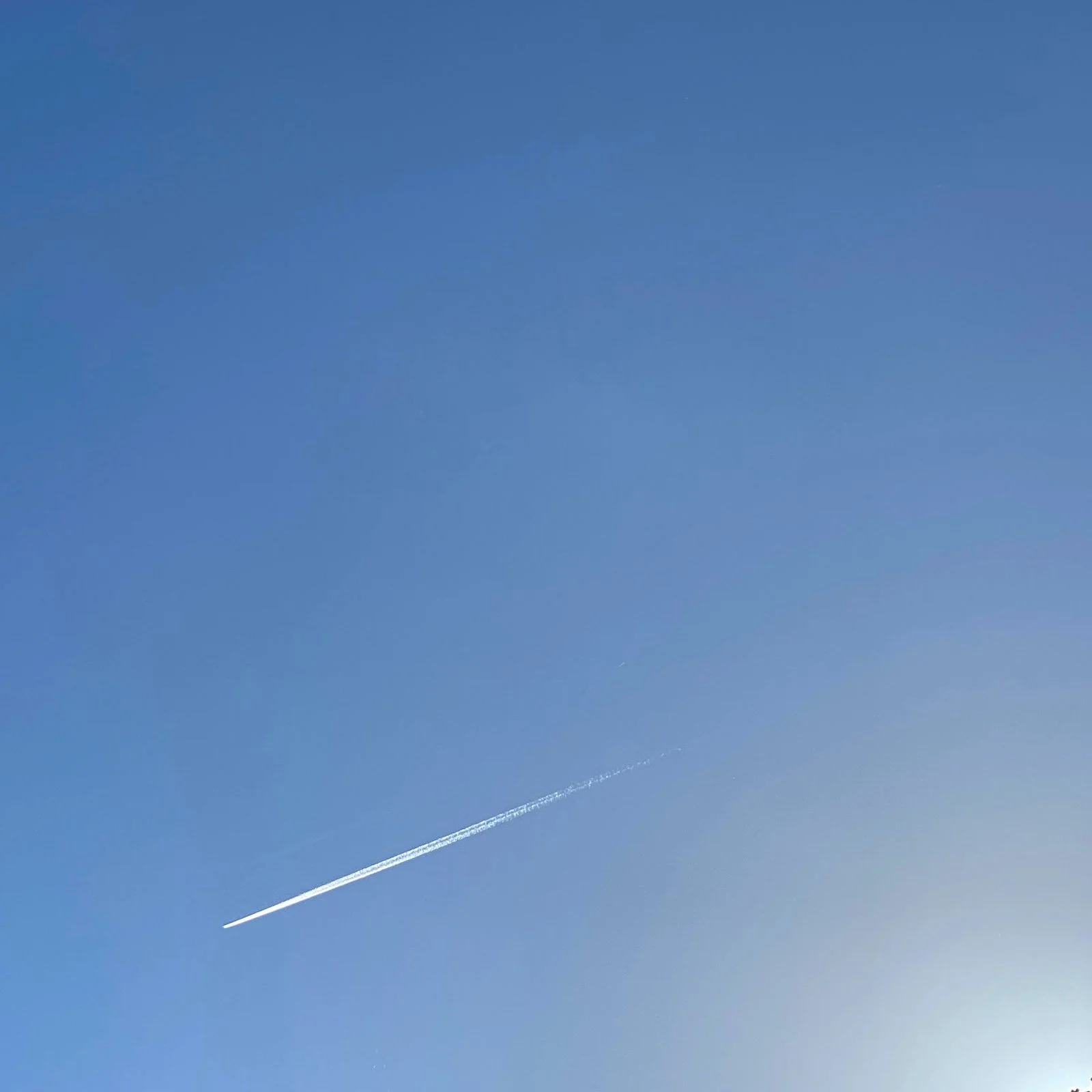 IMG_8653 (1).jpeg