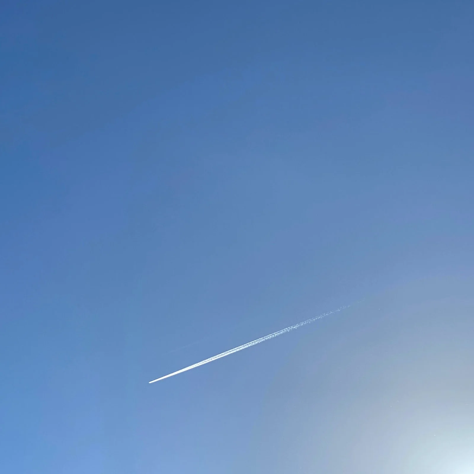 IMG_8652.jpeg