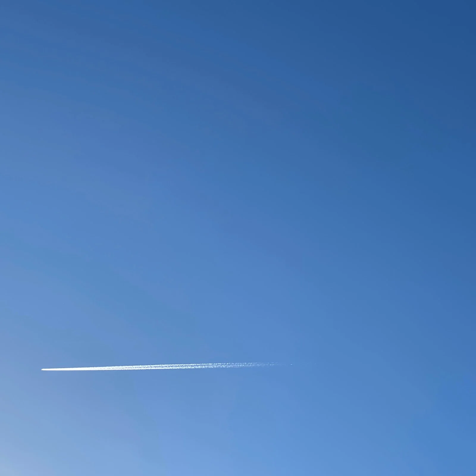 IMG_8648.jpeg
