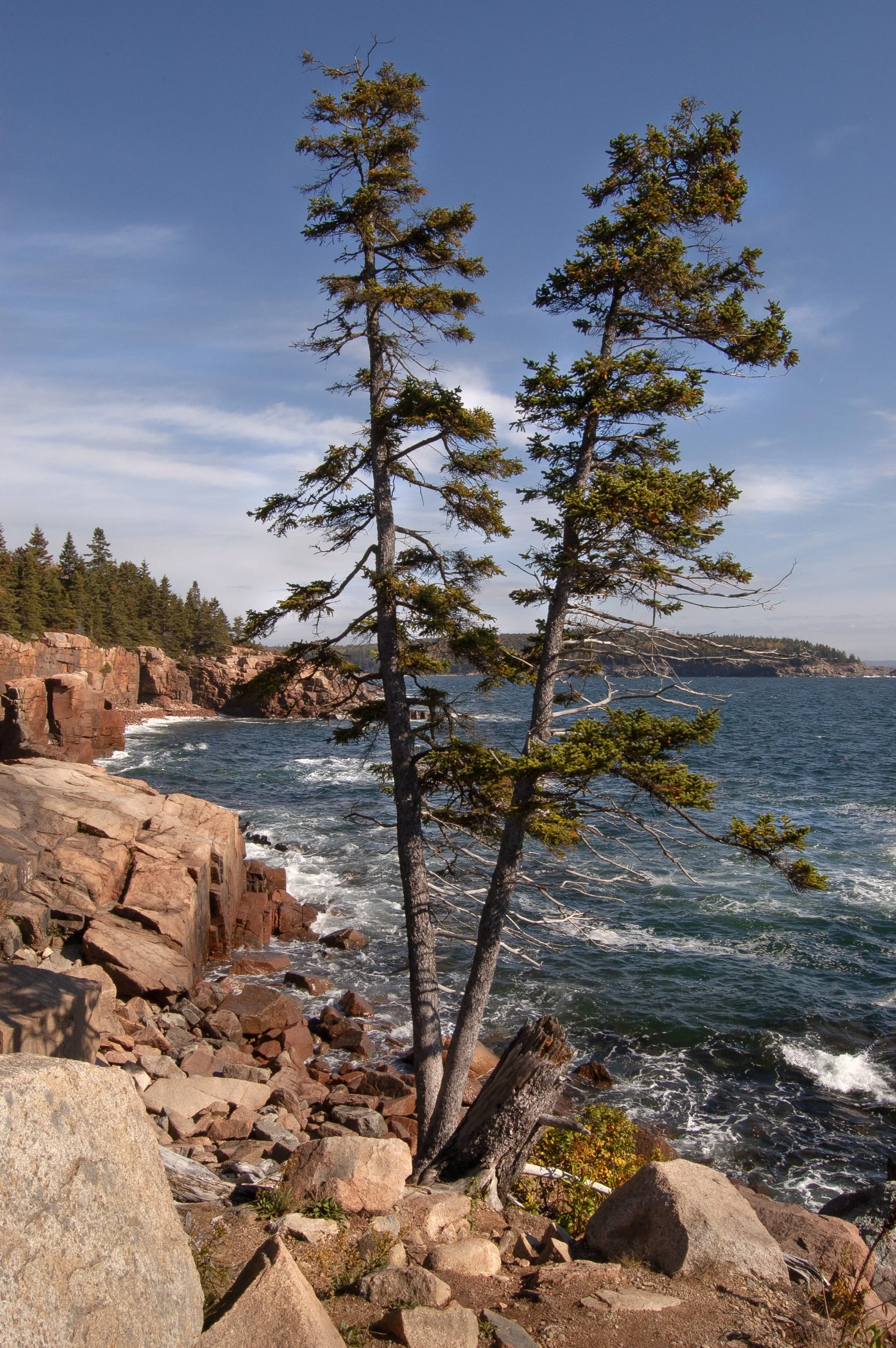 Acadia National Park 10072014 10.jpg