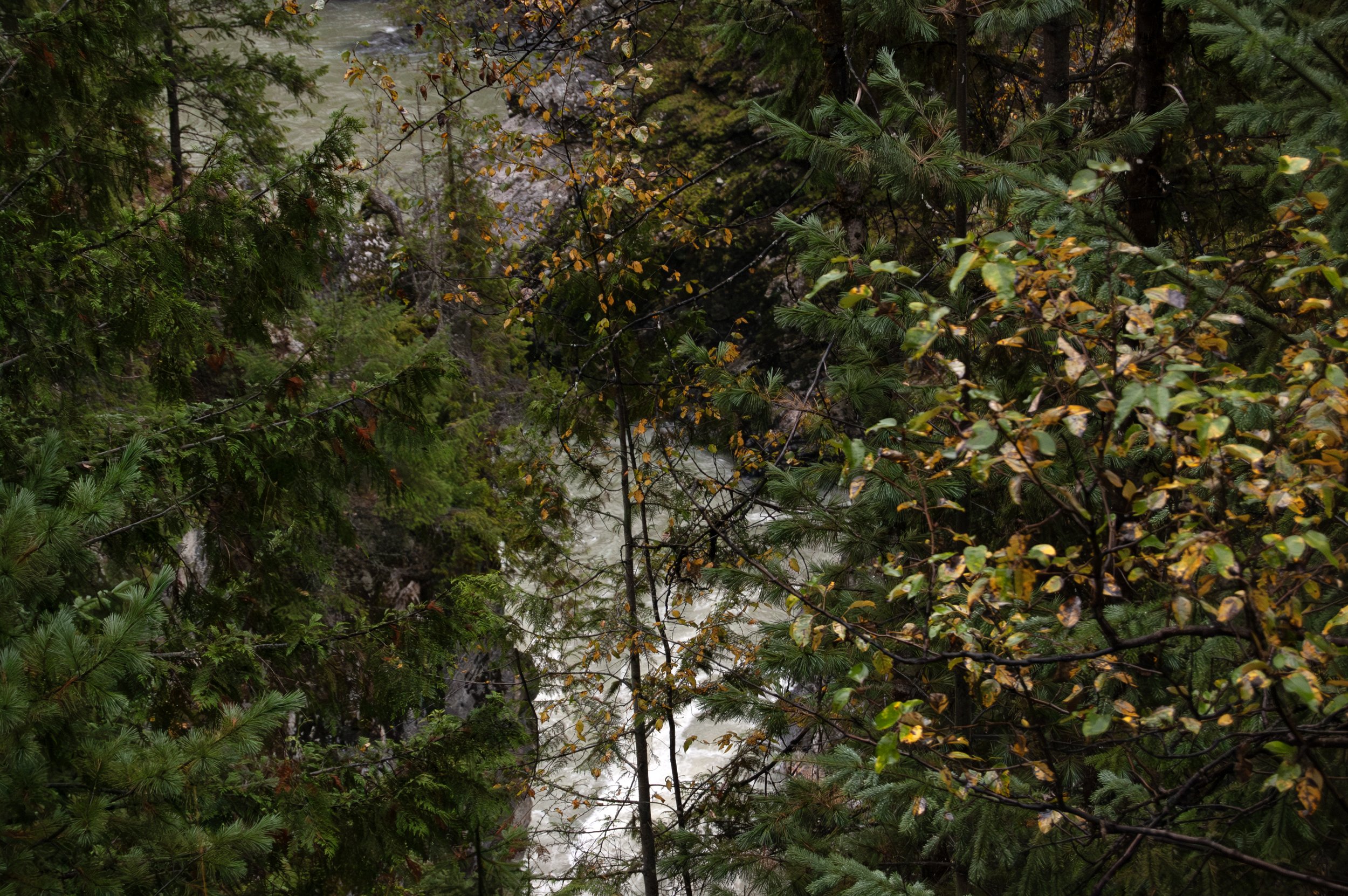 Train from Kamloops to Jasper 10012011 05.jpg