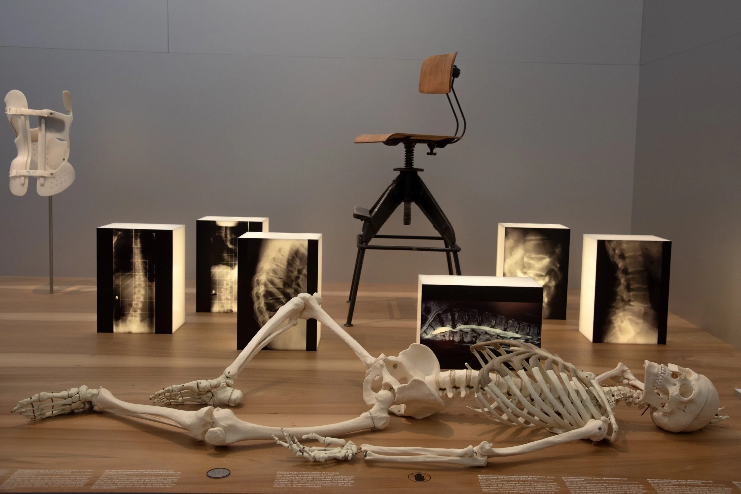 Deutsches Hygiene Museum 06112024 02.jpg