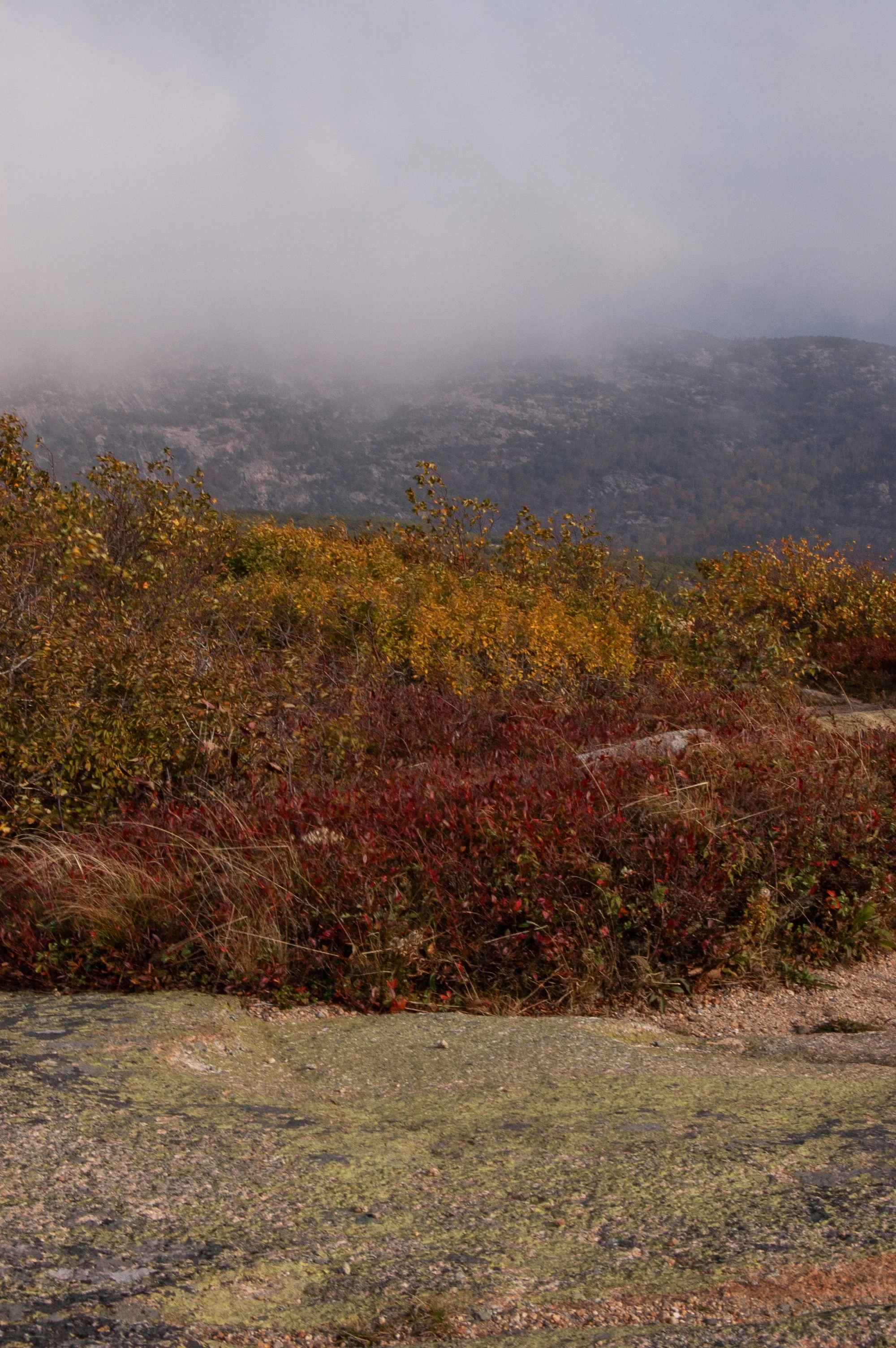 Acadia National Park 10072014 27.jpg