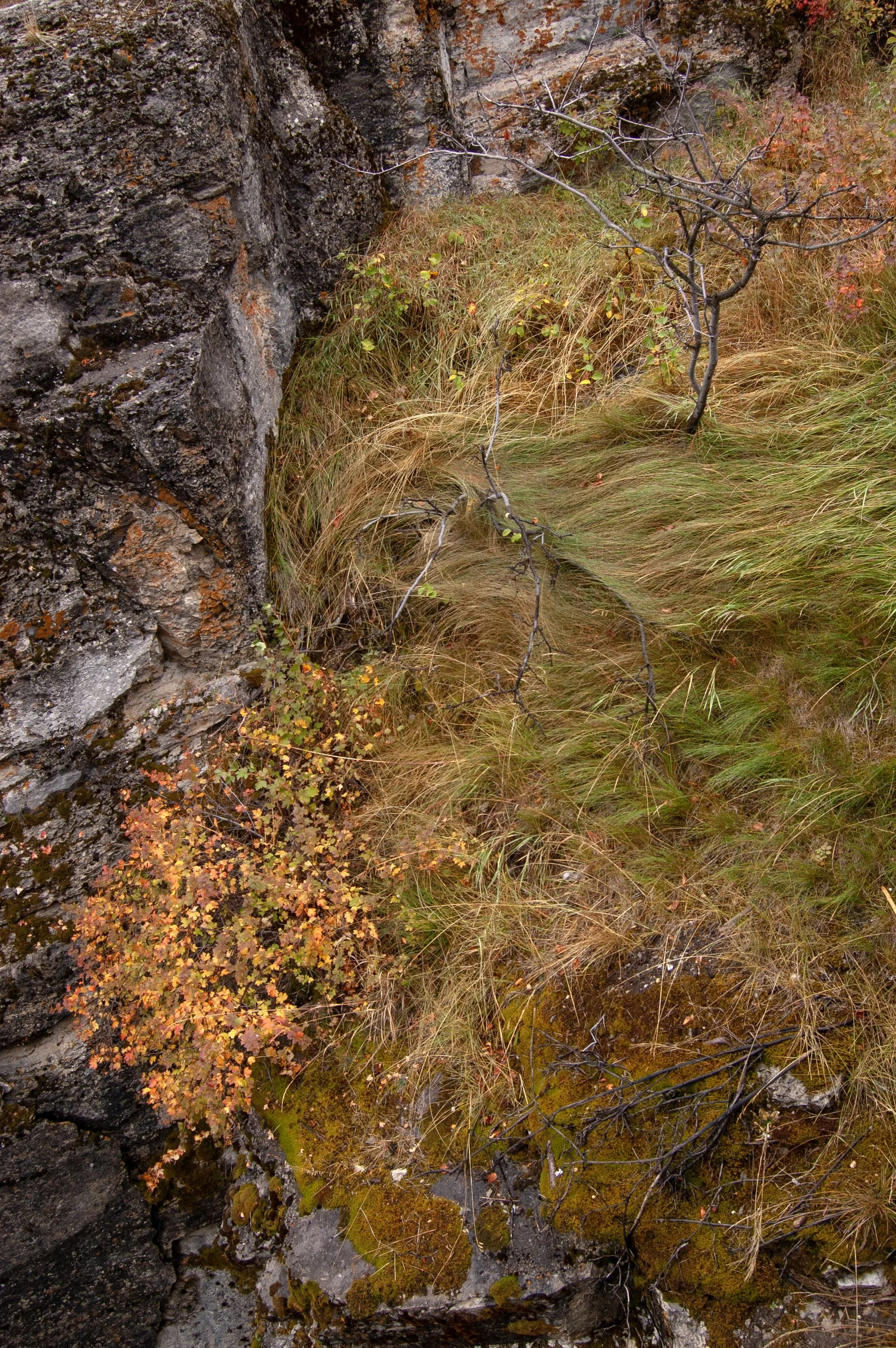 Jasper NTL Park Maligne Canyon 10022011 05C.jpg
