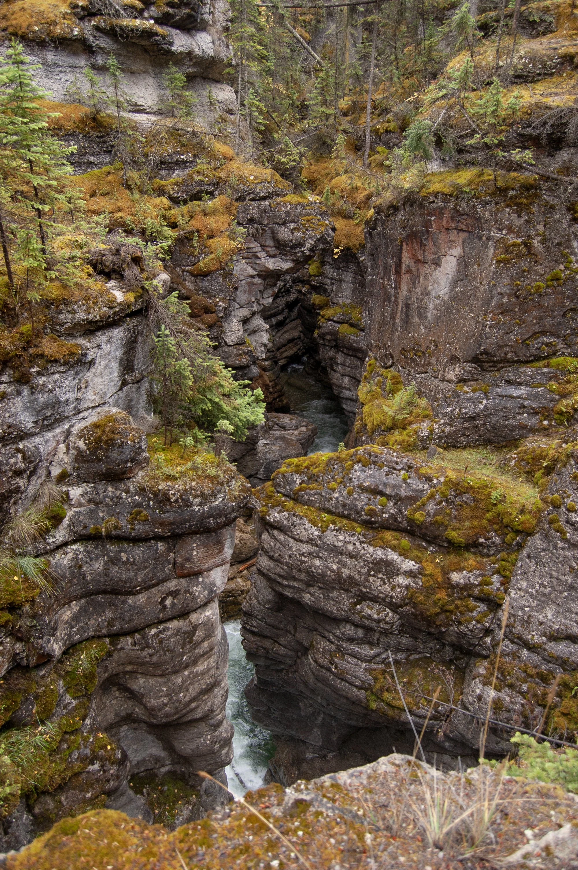 Jasper NTL Park Maligne Canyon 10022011 07.jpg