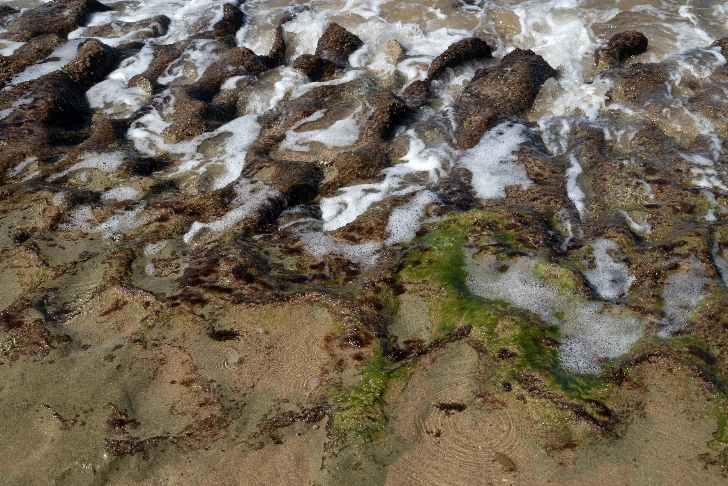 Rincon Beach PR 03202026 08A.jpg