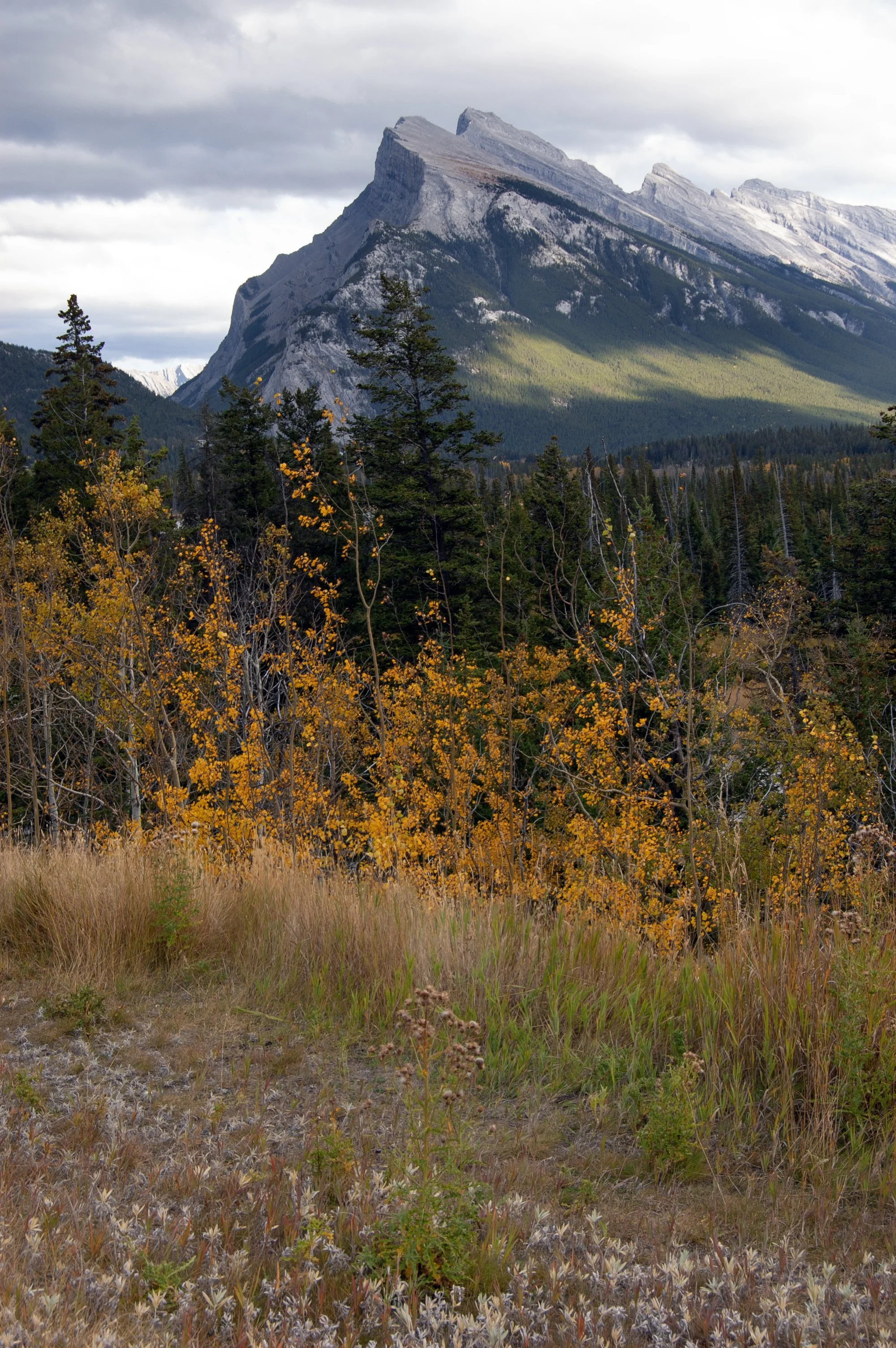 Canadian Rockies 10042011 06.jpg