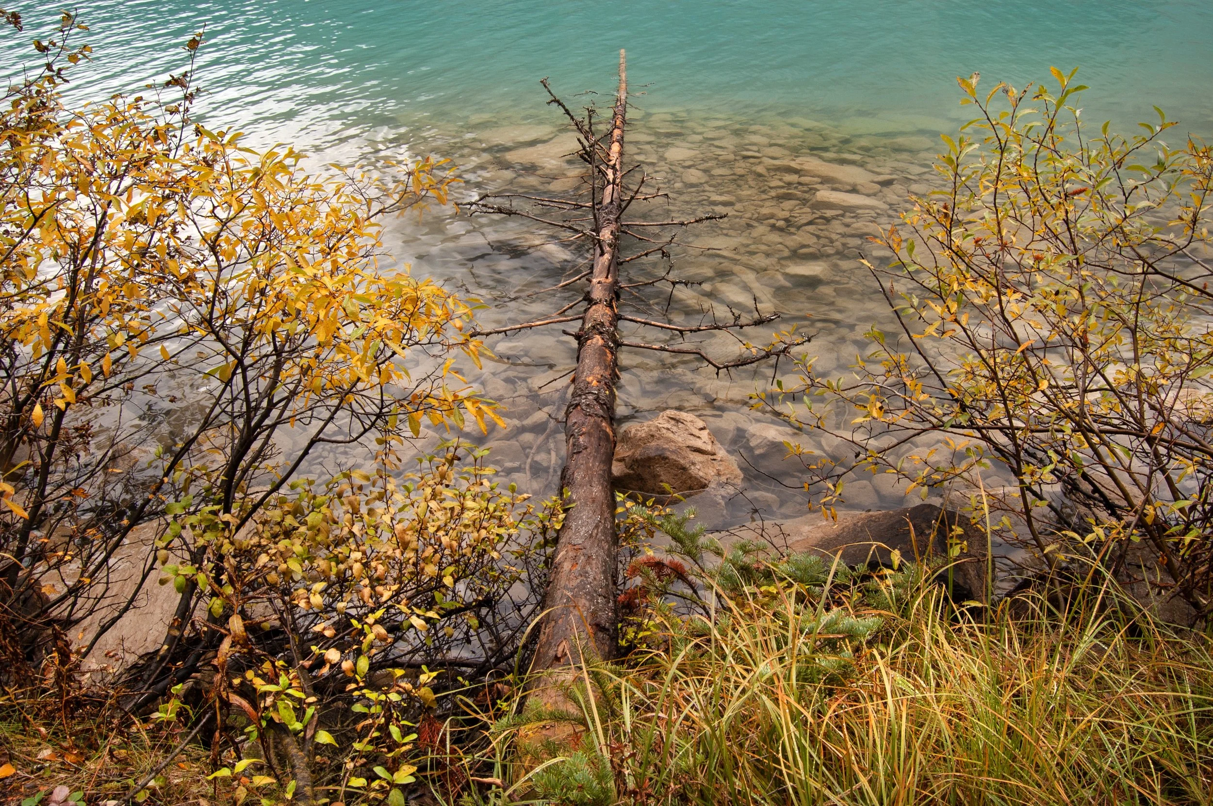 Lake Louise 10042011 05.jpg