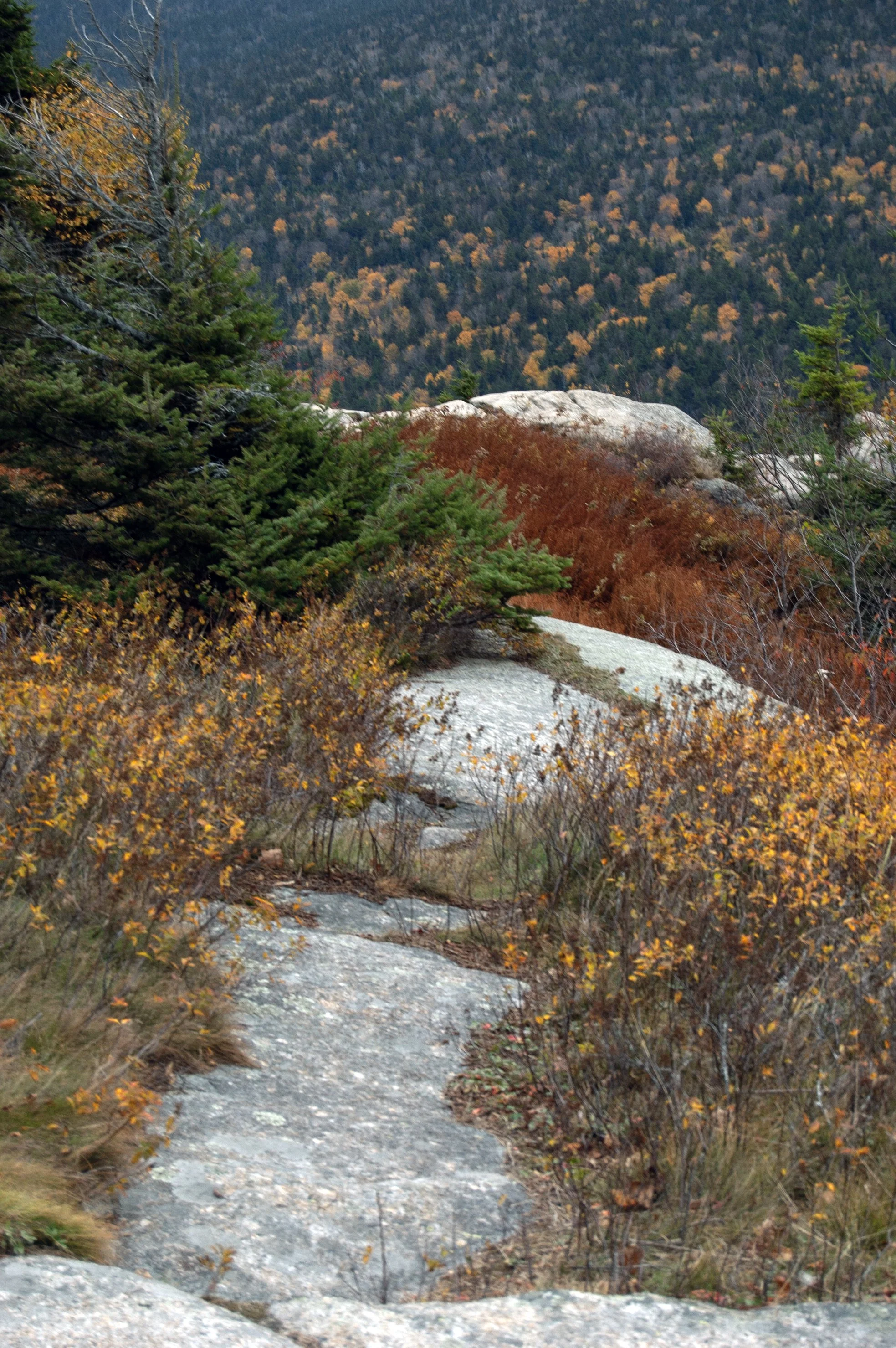 Crawford Notch New Hampshire 10092014 02.jpg