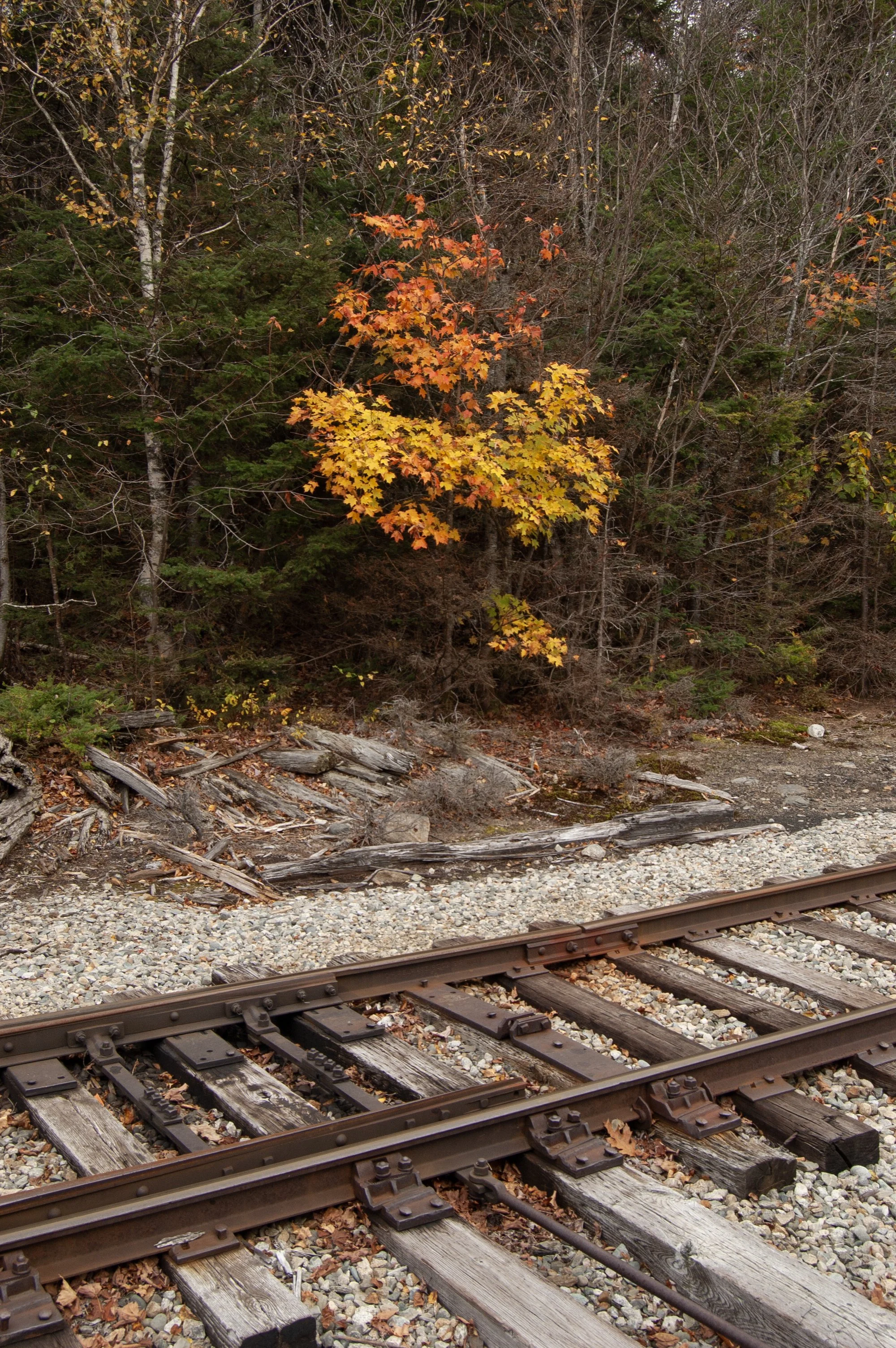 Crawford Notch New Hampshire 10092014 05.jpg
