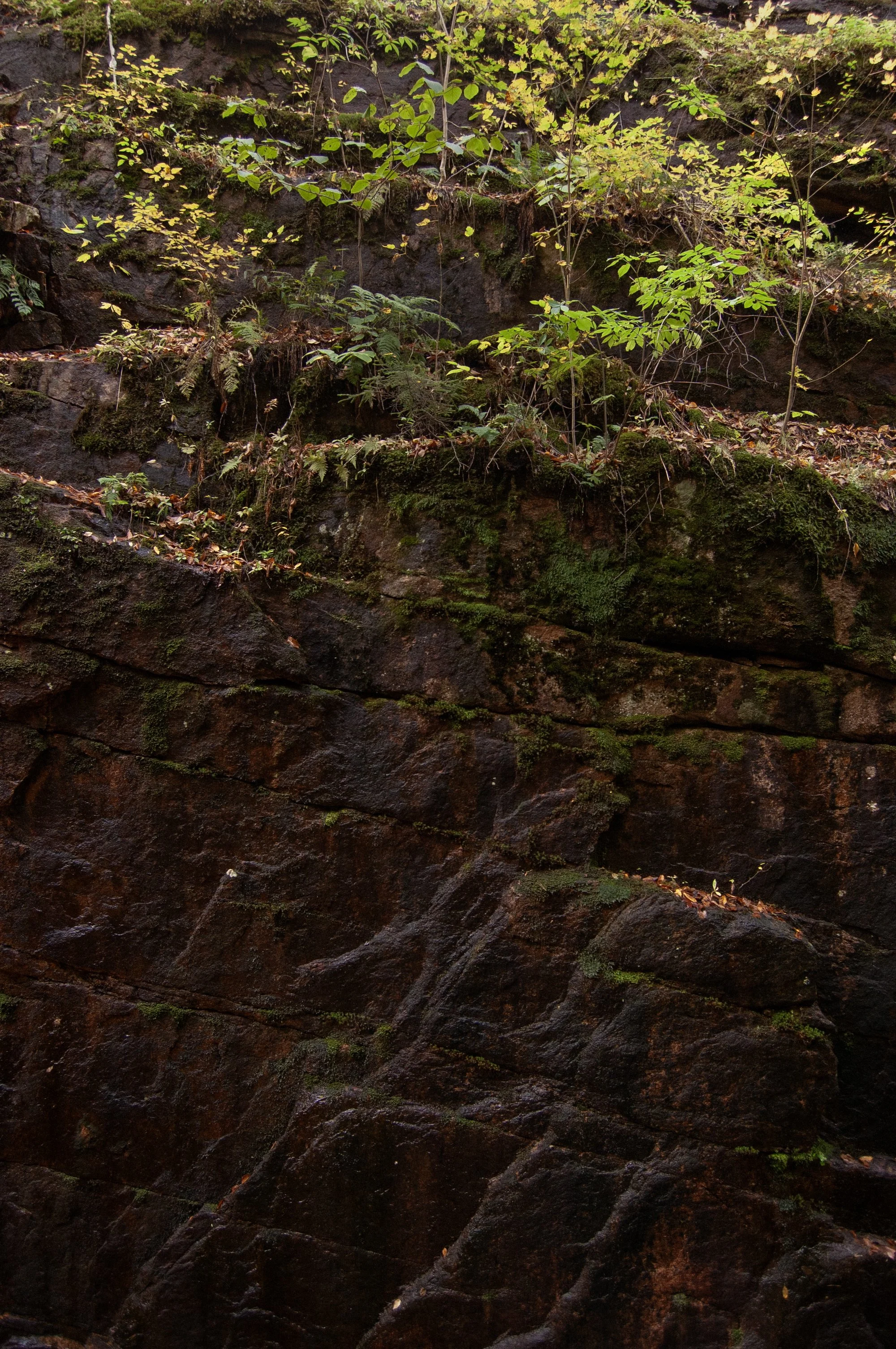 Franconia Notch 10092014 09.jpg