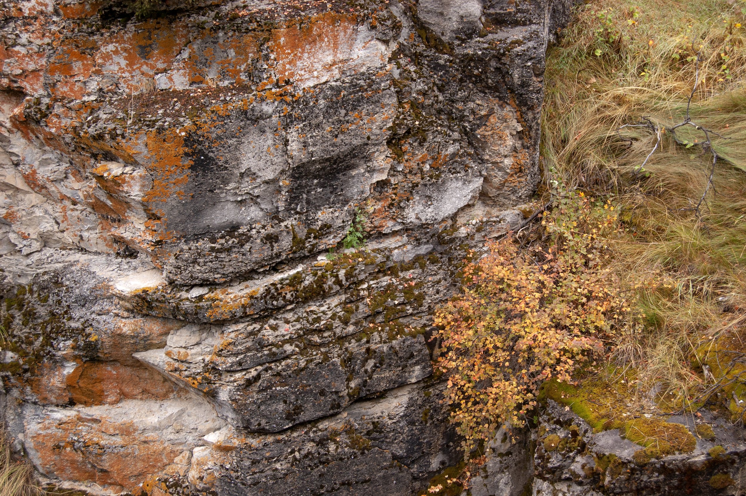 Jasper NTL Park Maligne Canyon 10022011 05A.jpg