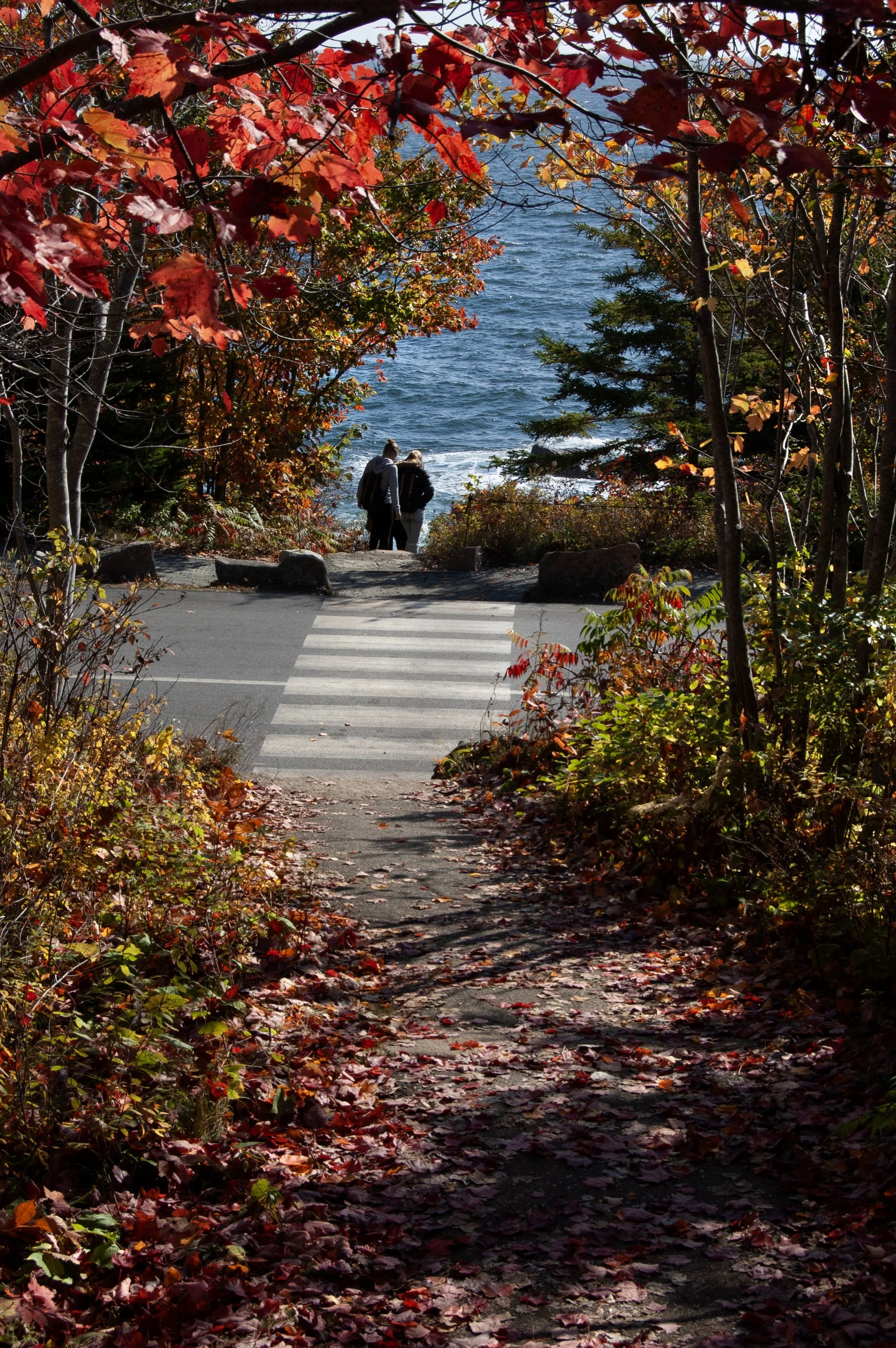 Acadia National Park 10072014 09.jpg
