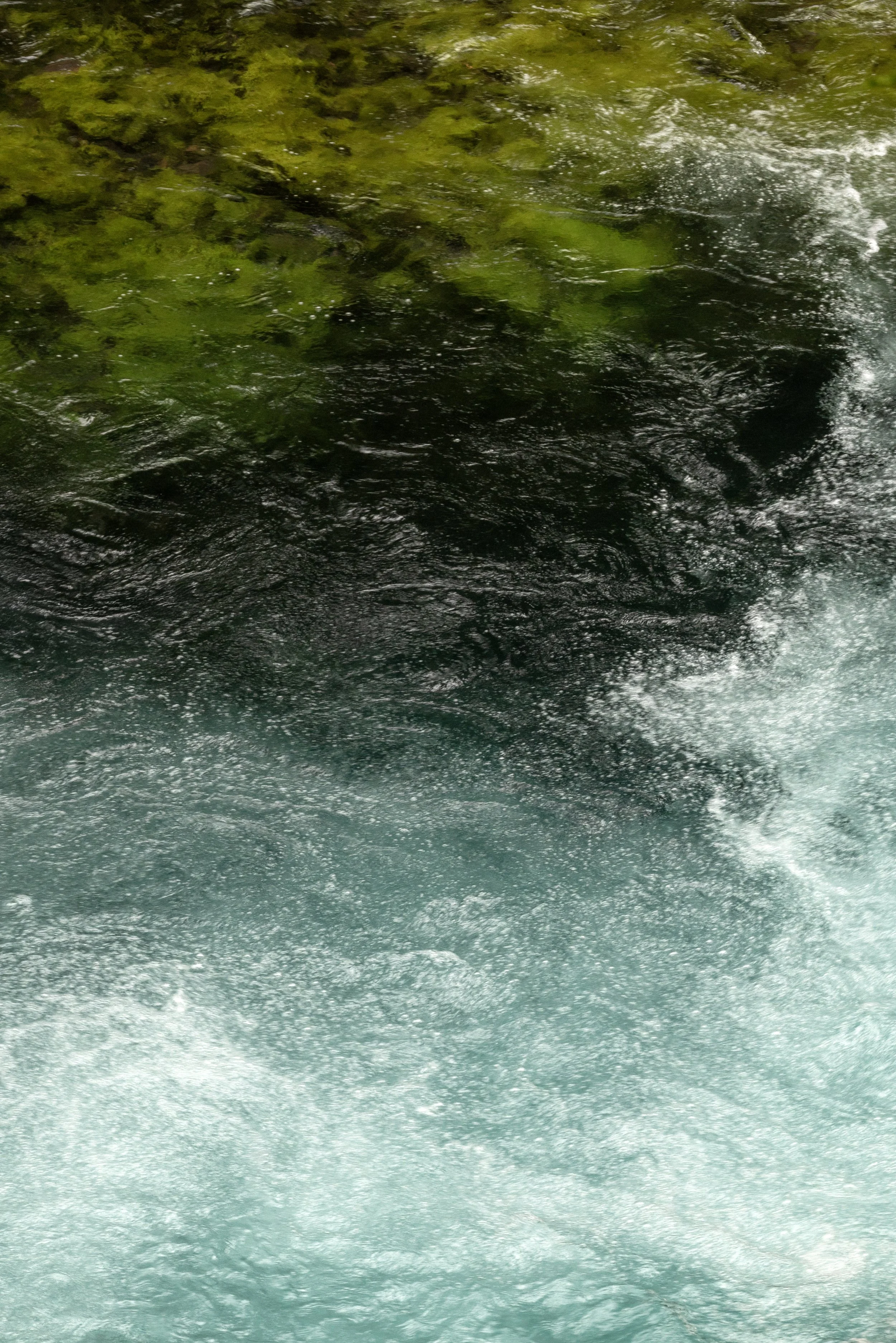 Sahalie & Koosah Fall 05222025 06A.jpg