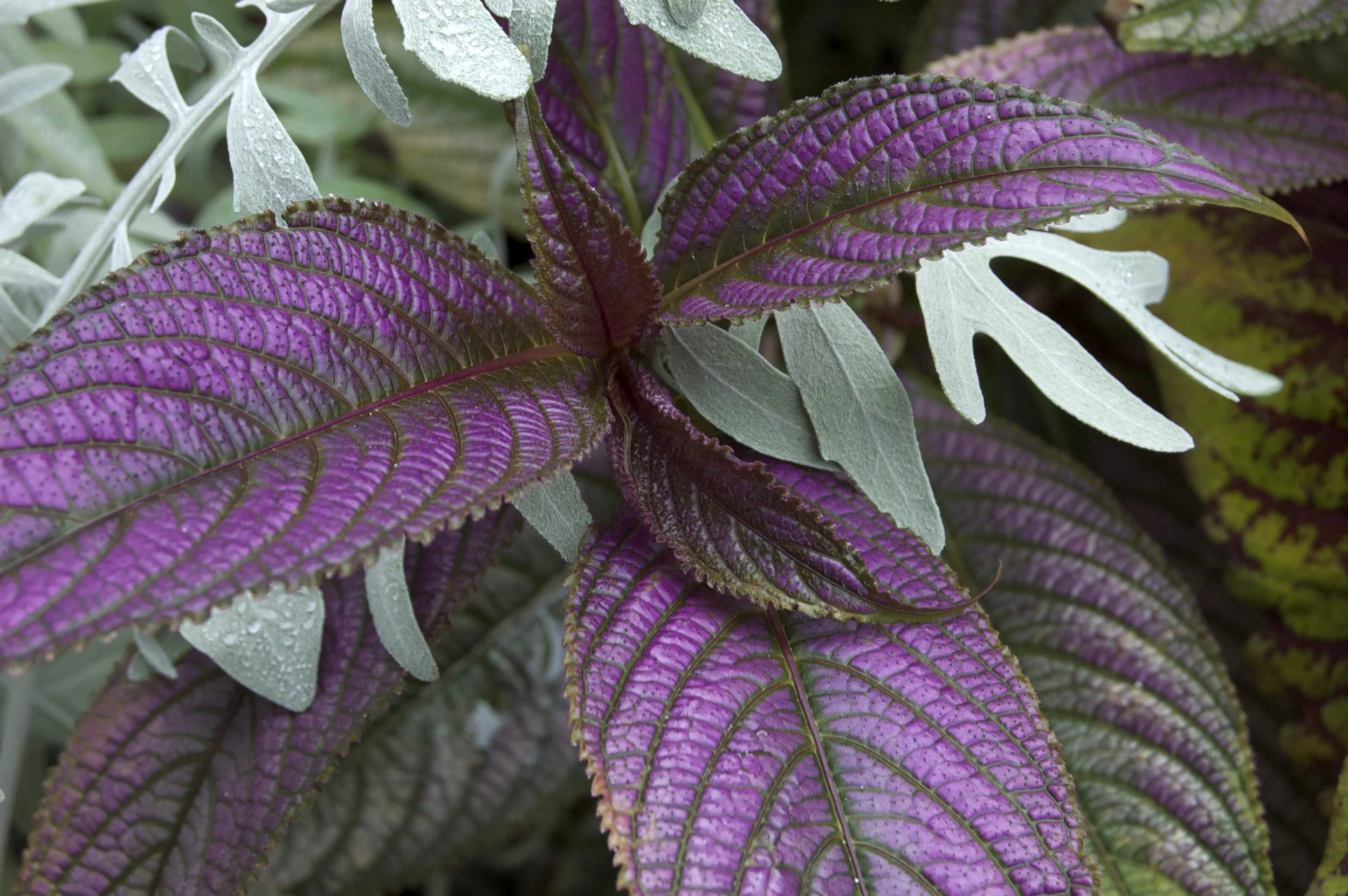 Woods Hole 10042014 08.jpg