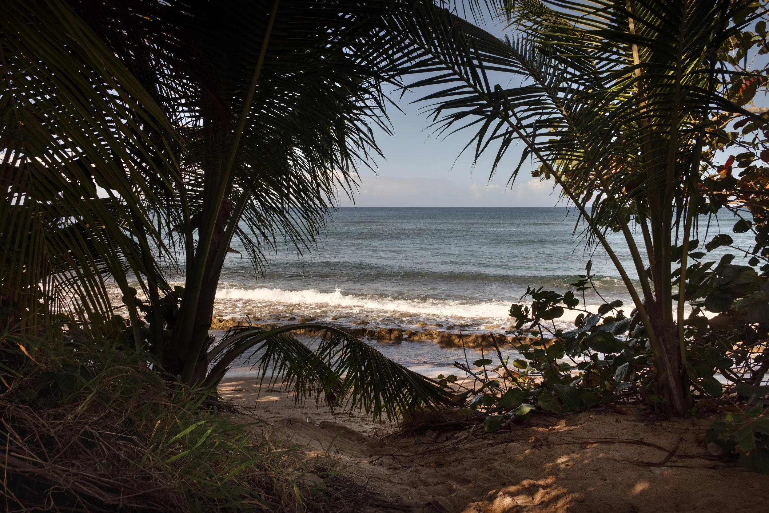 Rincon Beach 03192026 01F.jpg