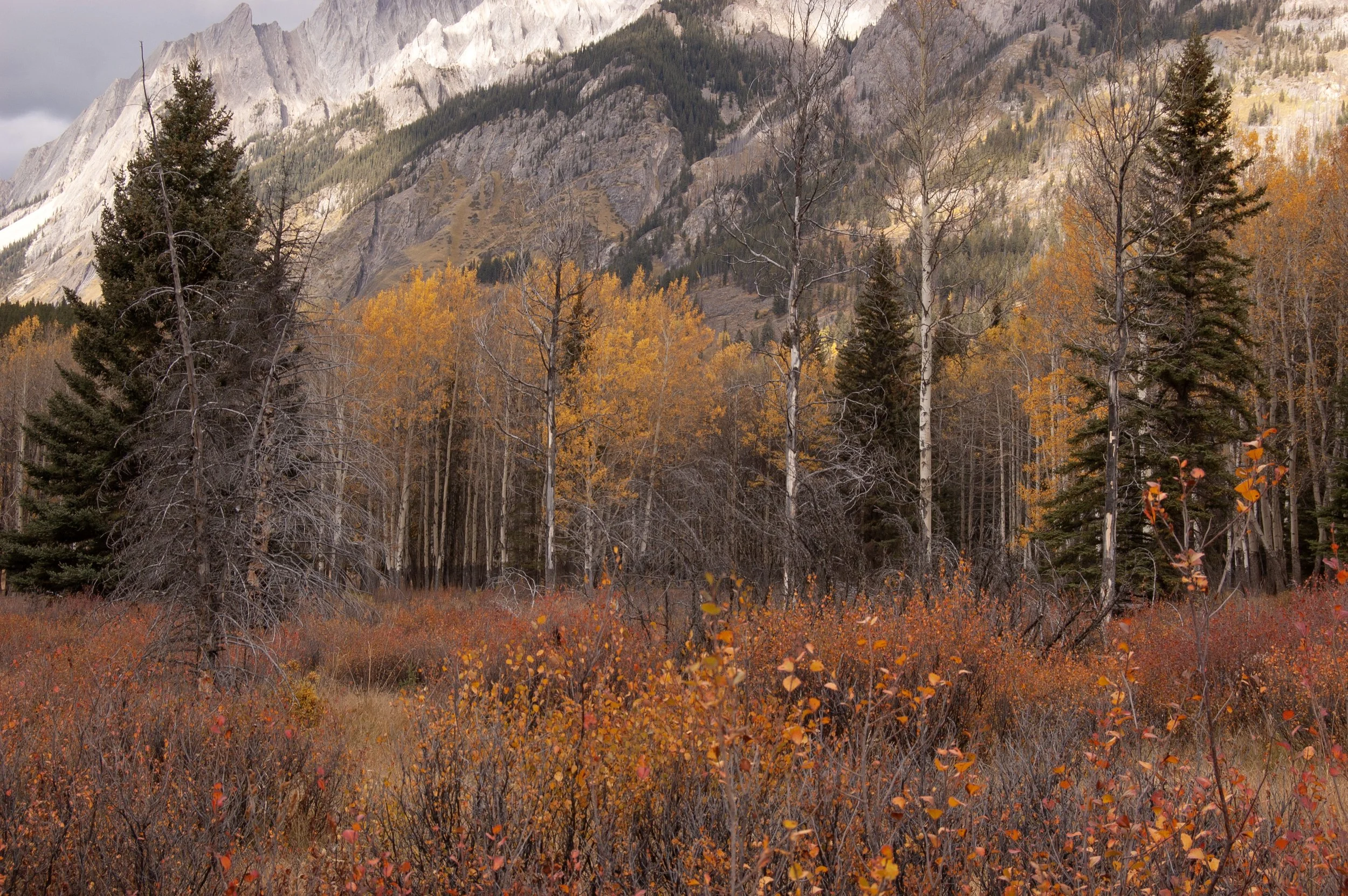 Lake Louise 10042011 07.jpg