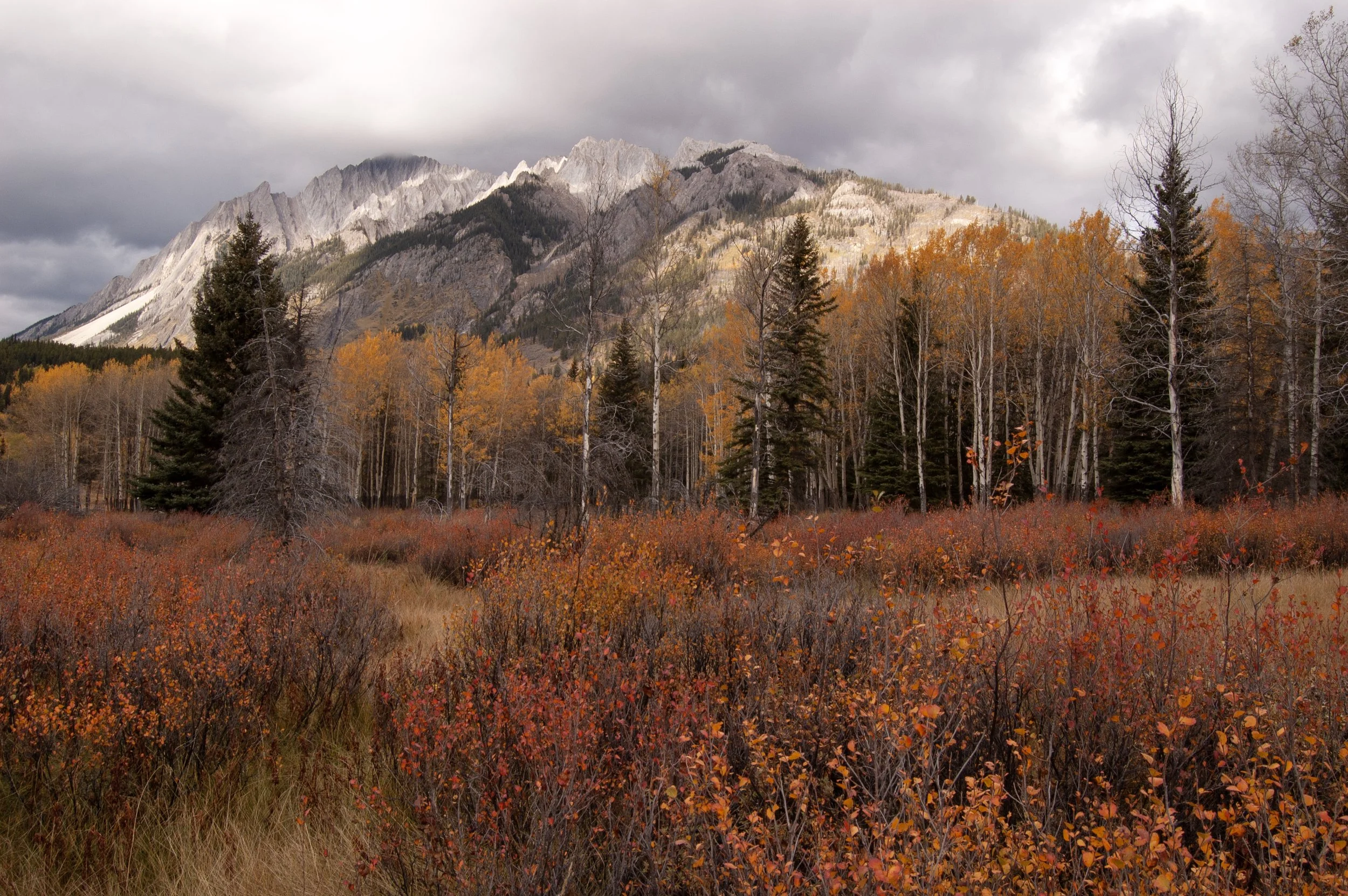 Lake Louise 10042011 08.jpg