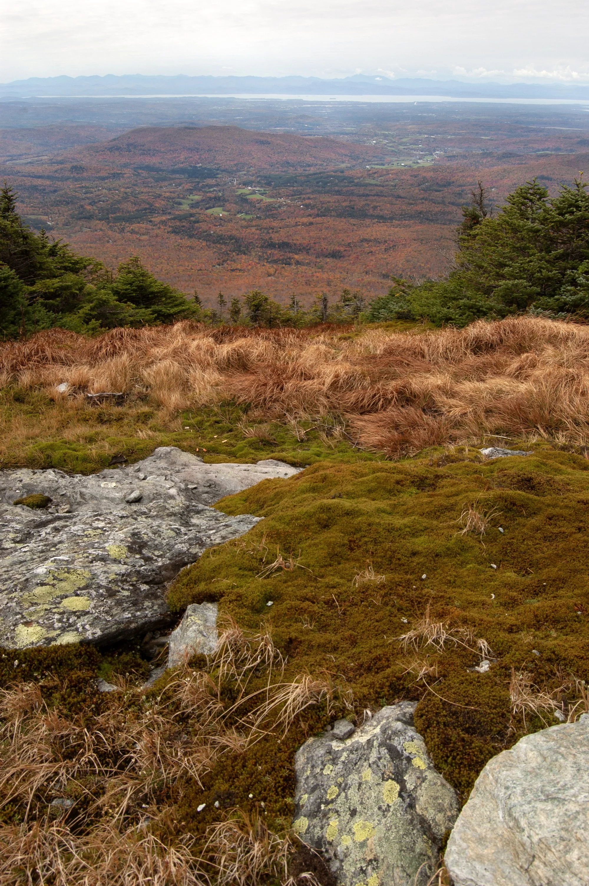 Vermont Stowe 10112014 06A.jpg