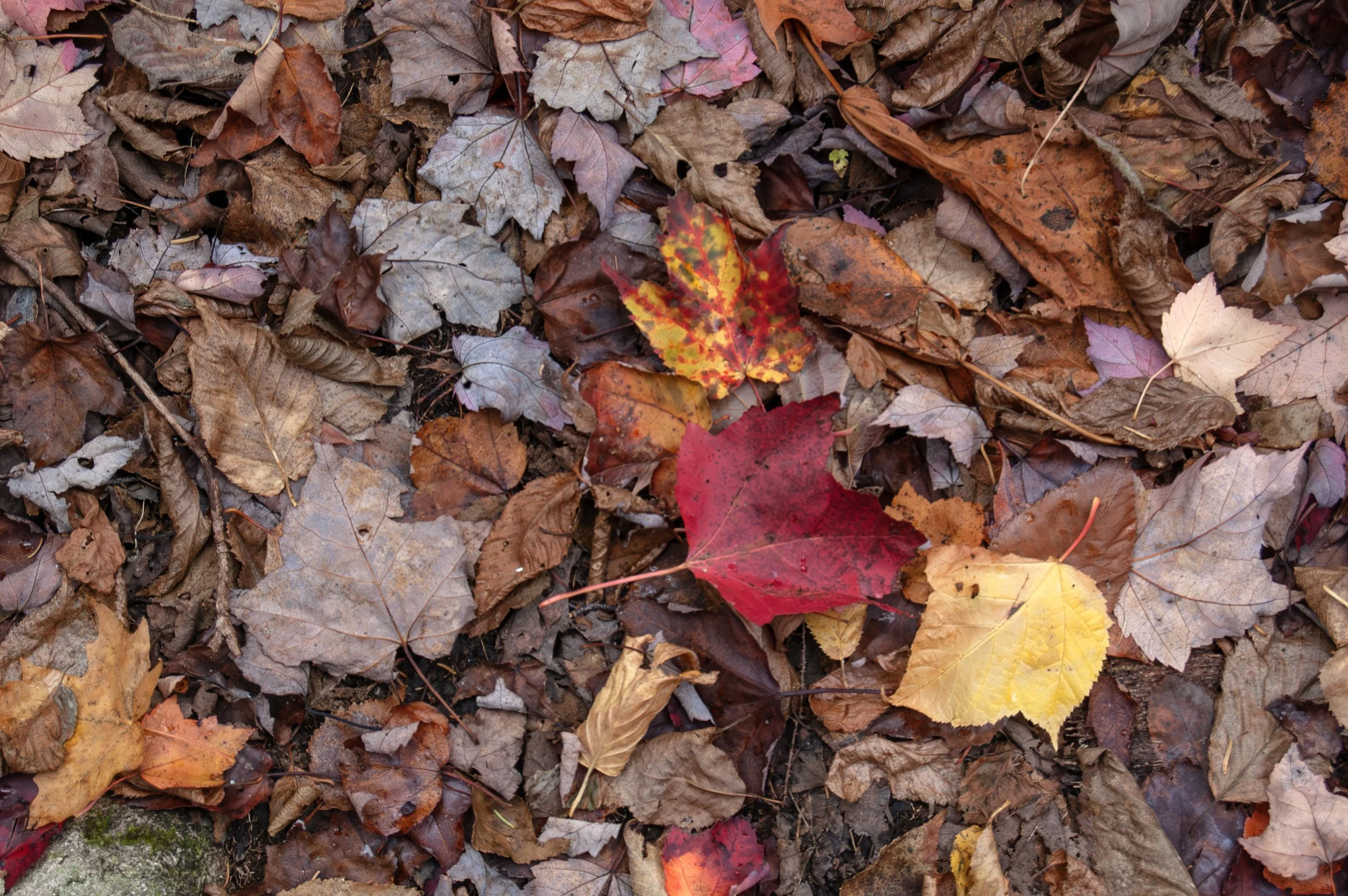 Crawford Notch New Hampshire 10092014 11.jpg