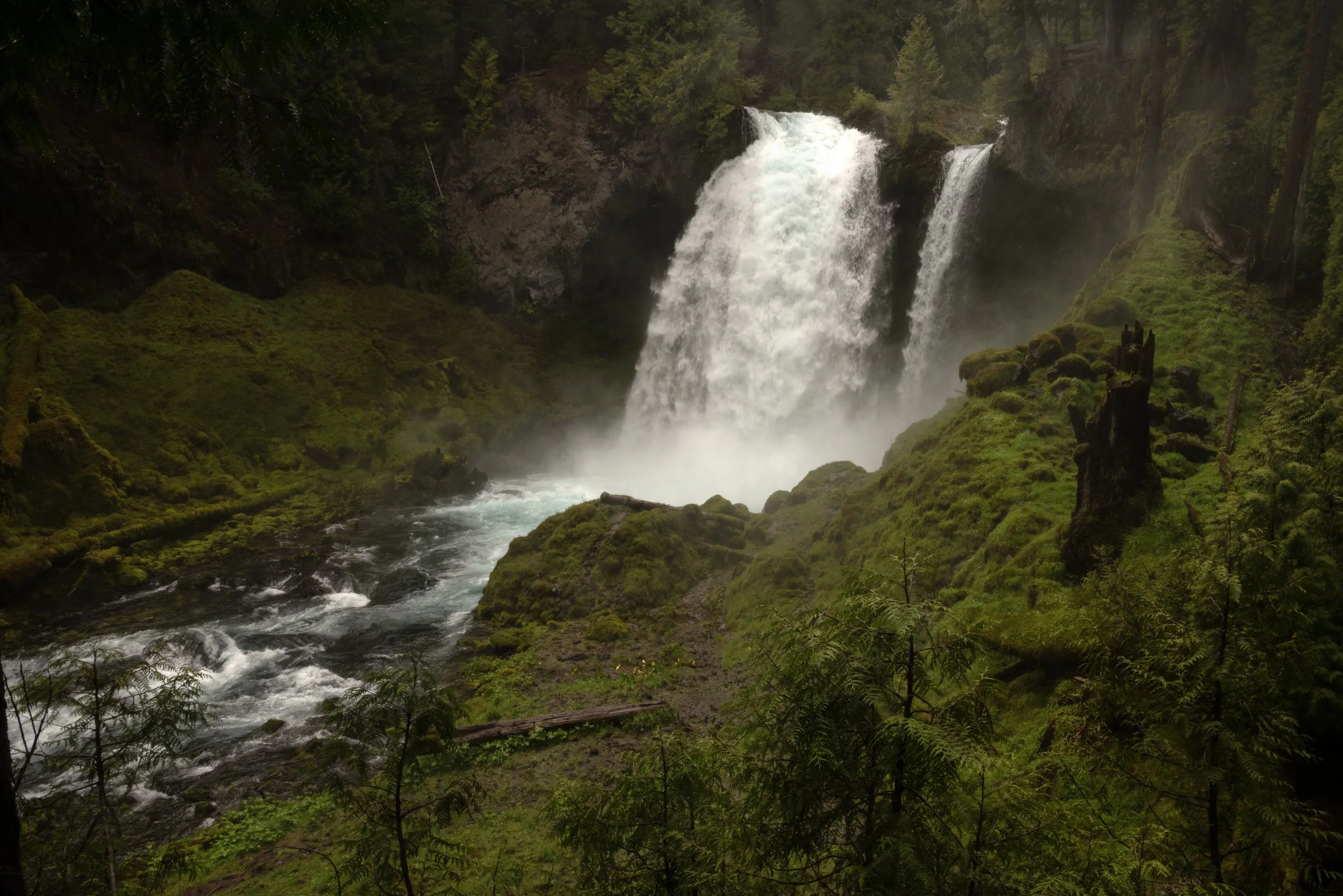 Sahalie & Koosah Fall 05222025 16.jpg