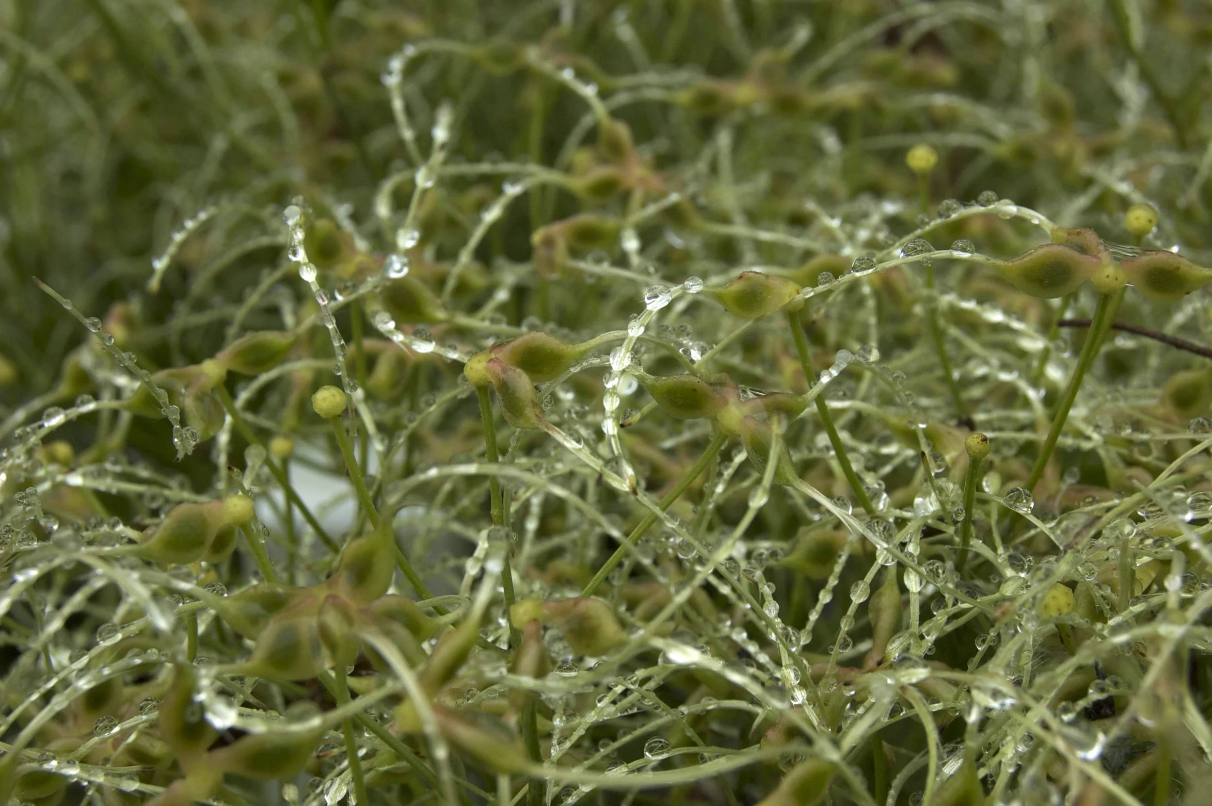 Woods Hole 10042014 05.jpg