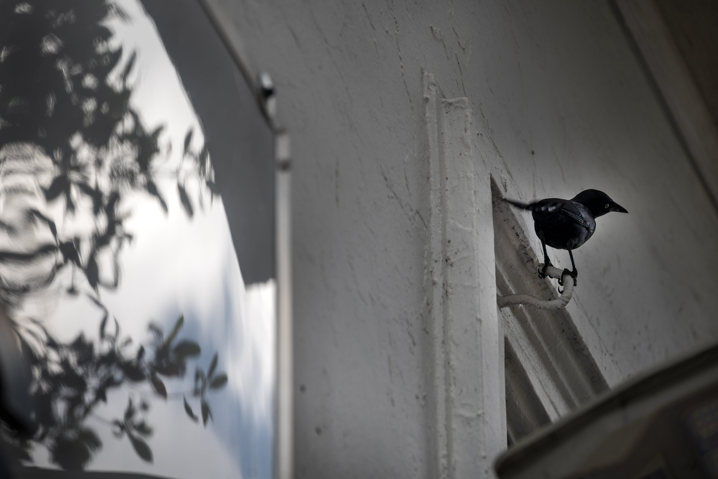 Mayagüez PR 03262026 10.jpg