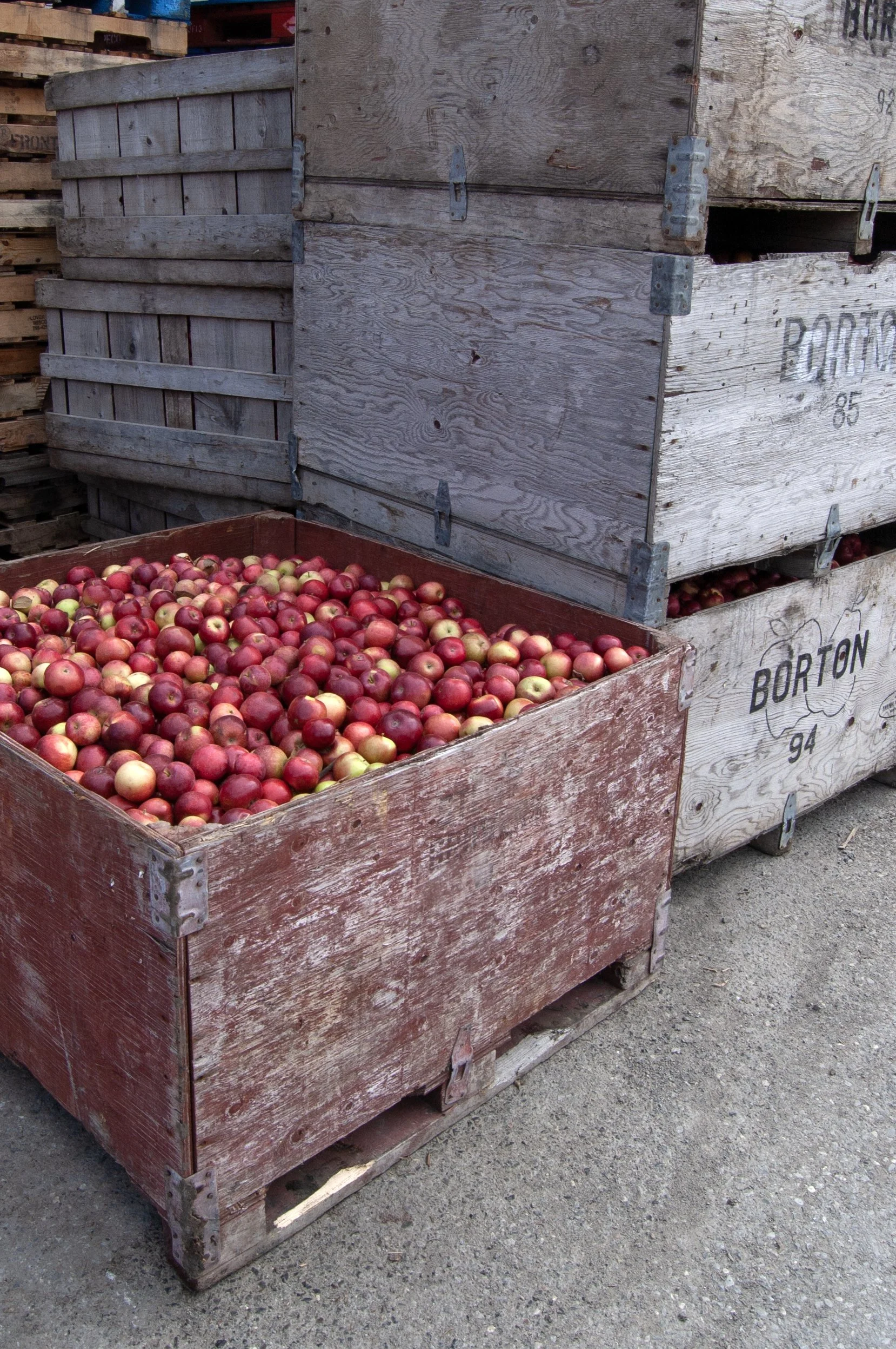 Vermont 10102014 04C.jpg