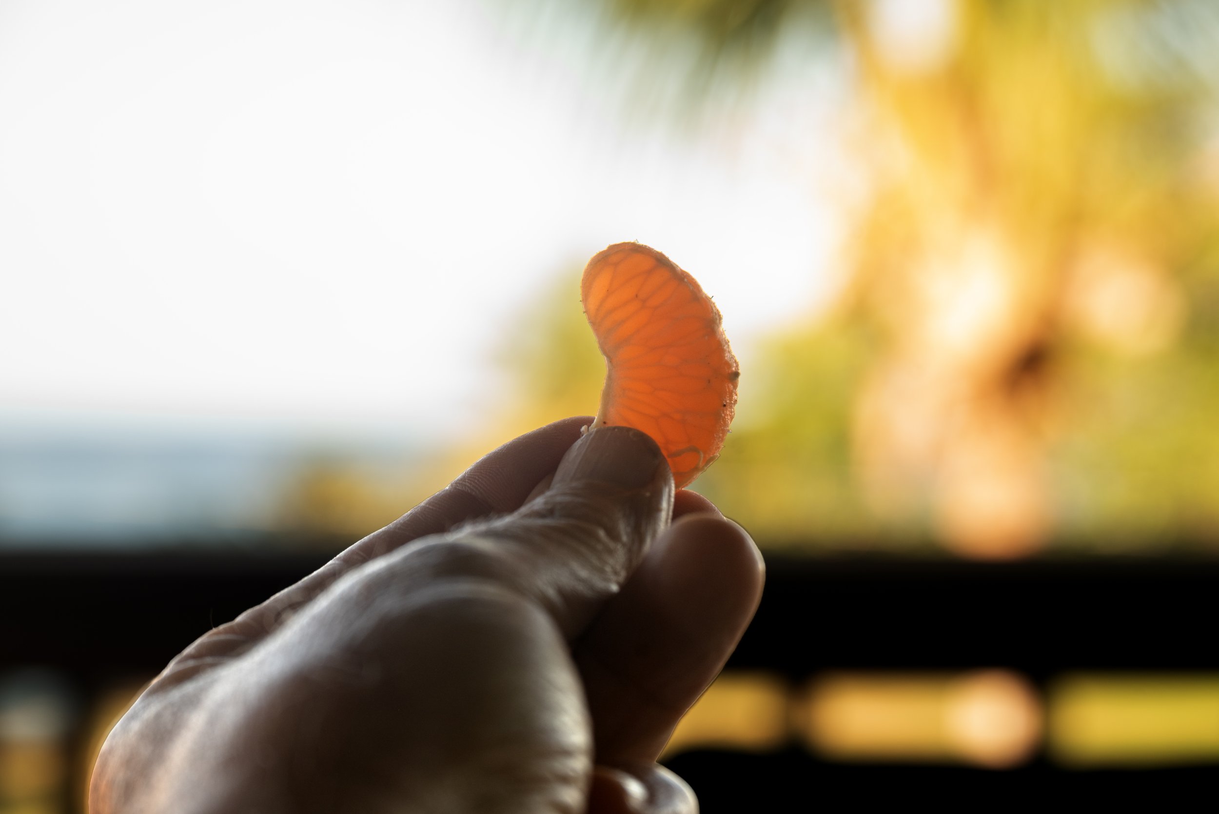 Rincon PR 03202026 01.jpg