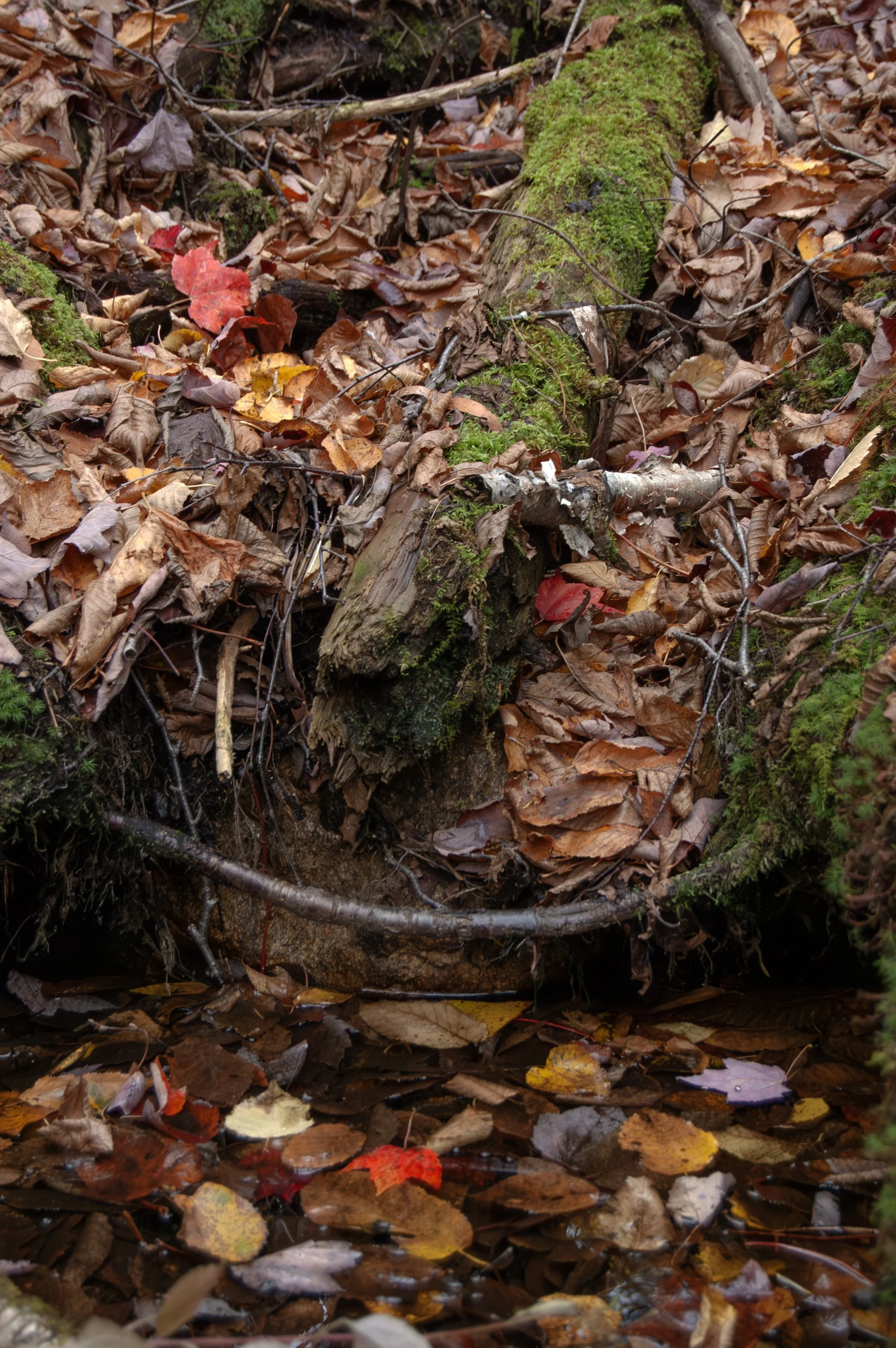 Crawford Notch New Hampshire 10092014 10.jpg