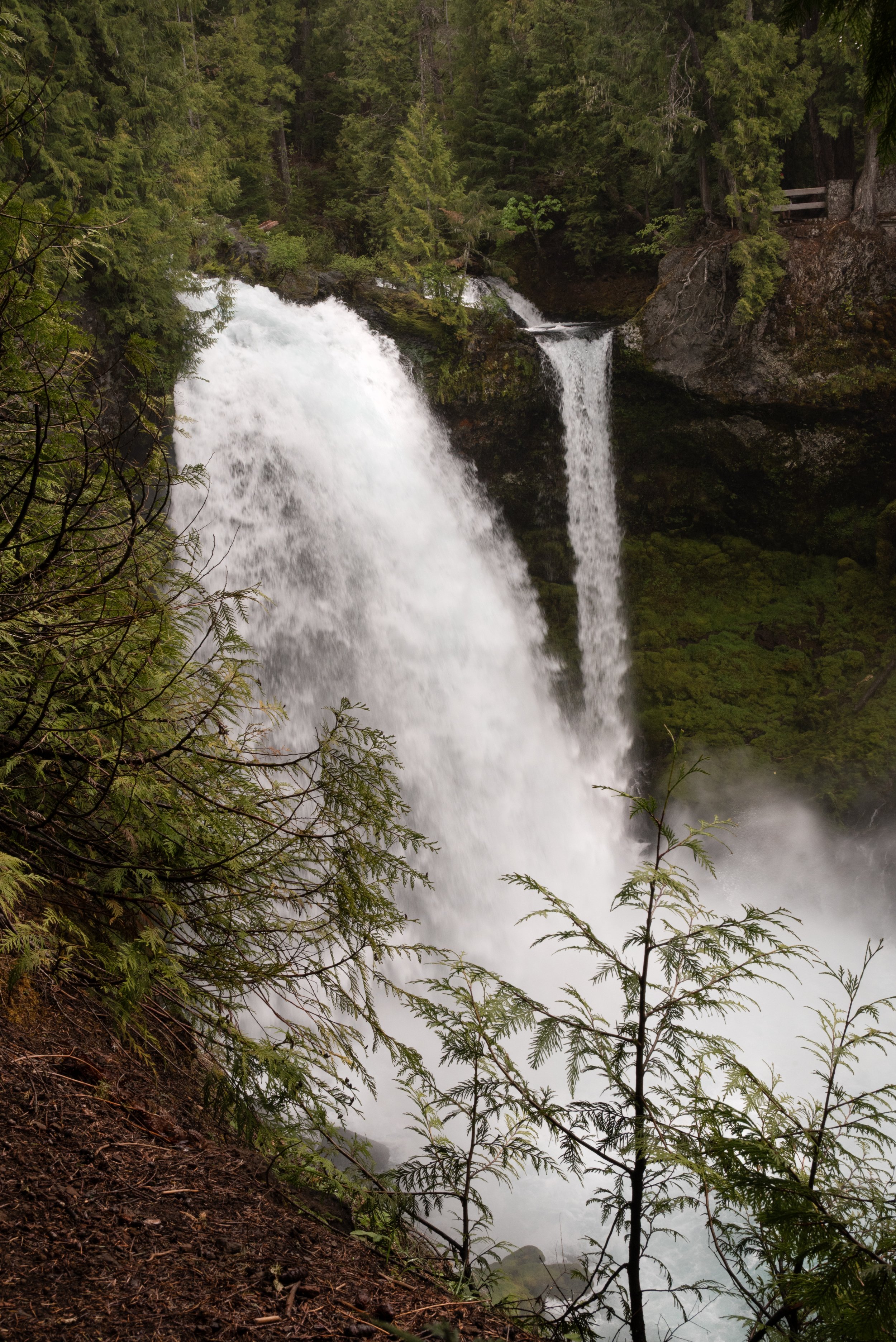Sahalie & Koosah Fall 05222025 23.jpg