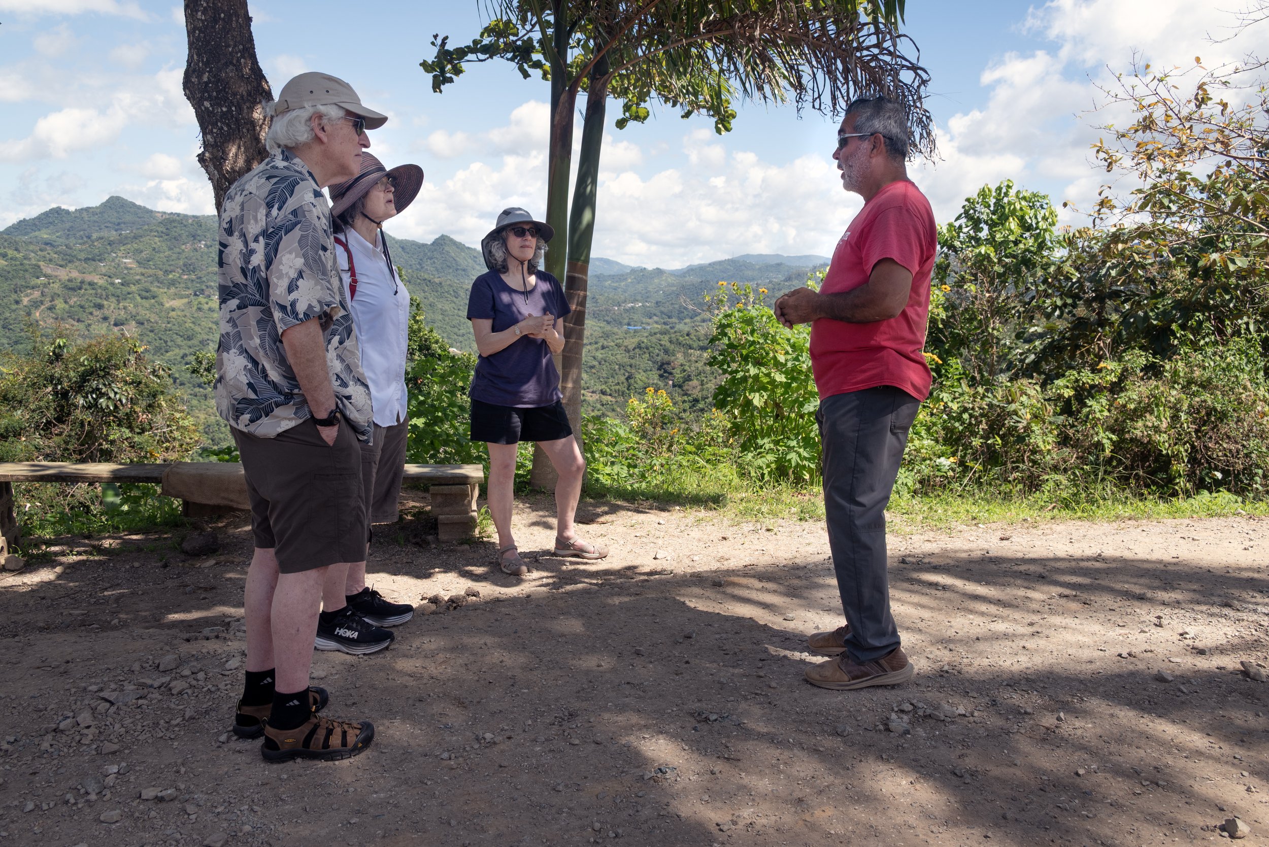 Sandra Farms Adjuntas PR 03192026 04A.jpg