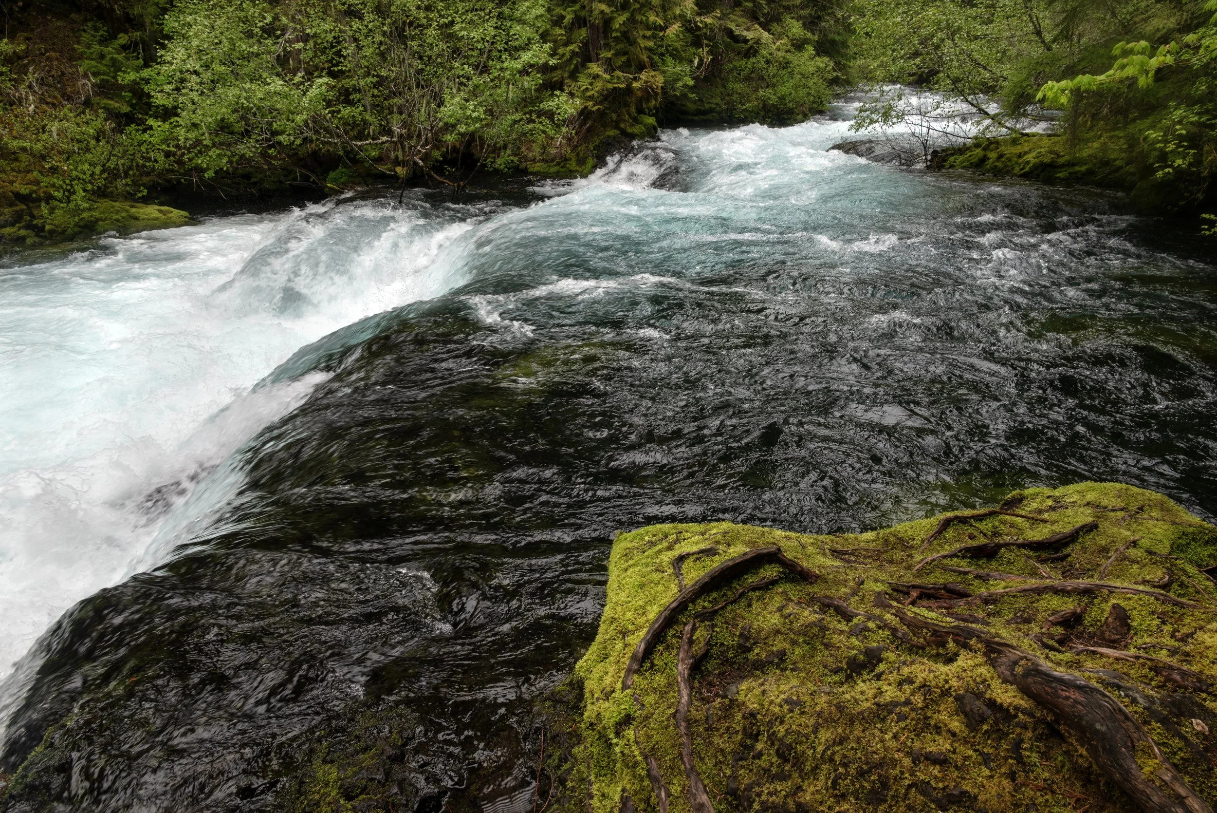 Sahalie & Koosah Fall 05222025 05.jpg
